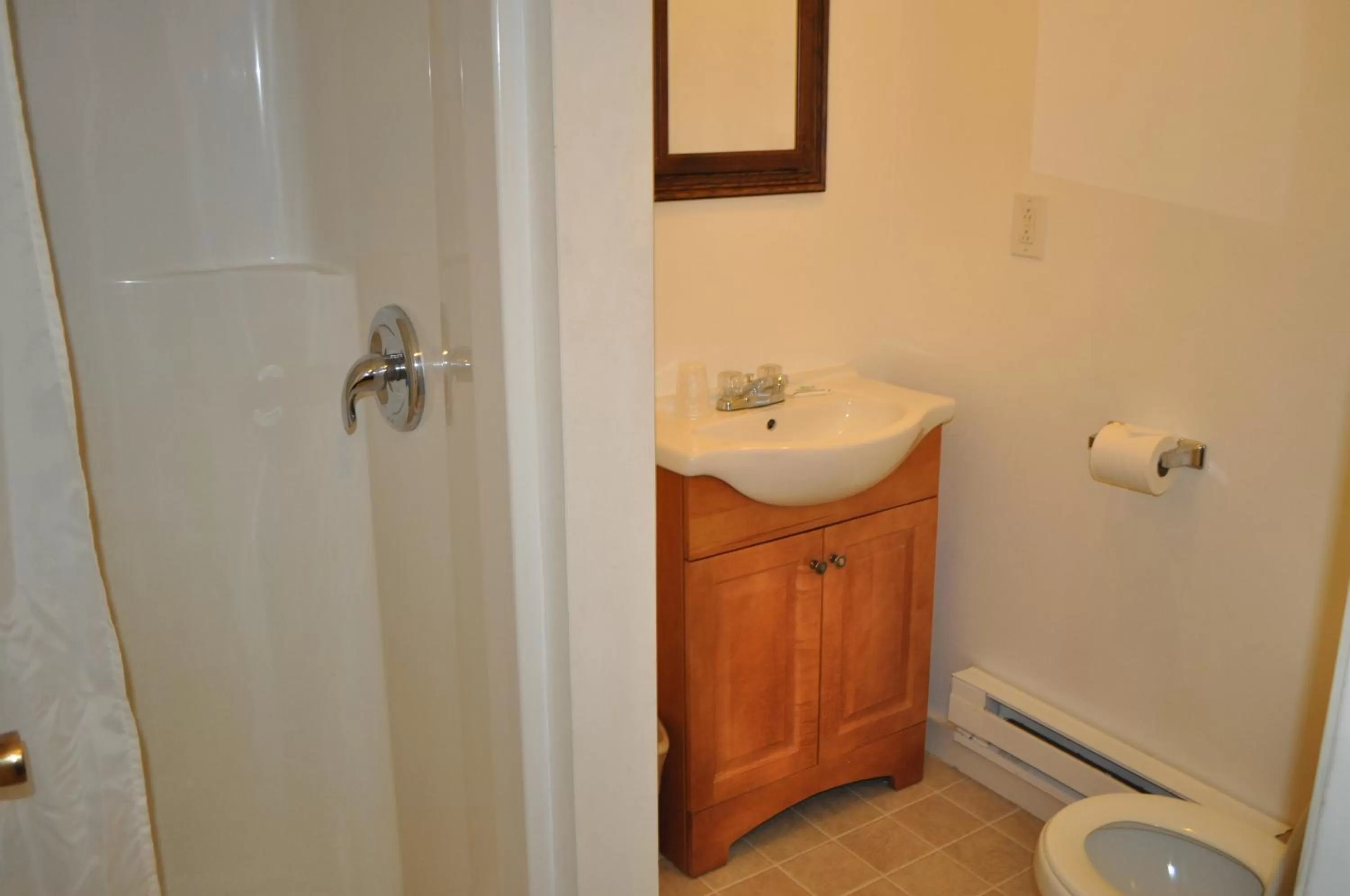 Bathroom in Golden Lion Motel