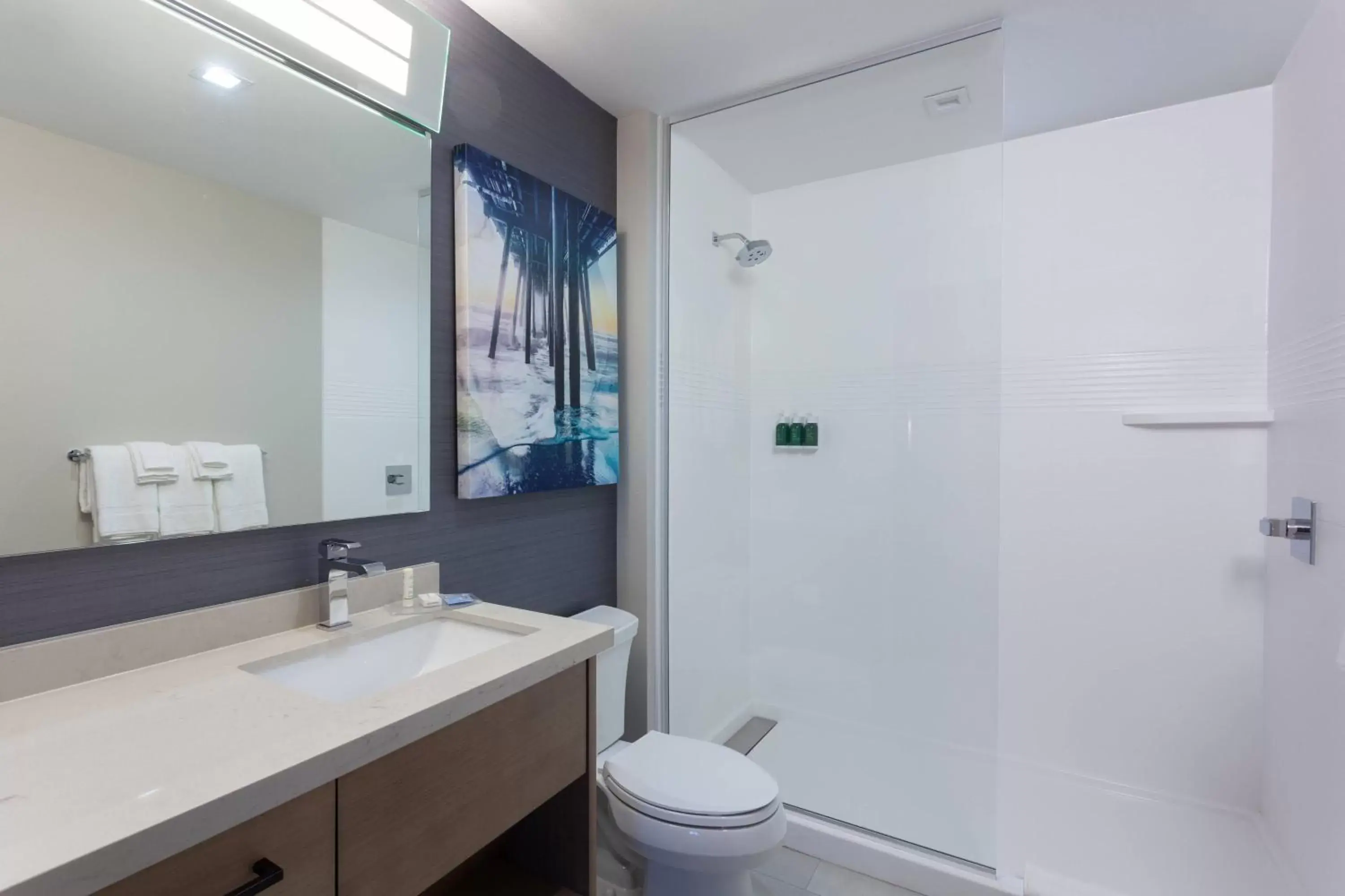 Bathroom in TownePlace Suites by Marriott San Diego Central