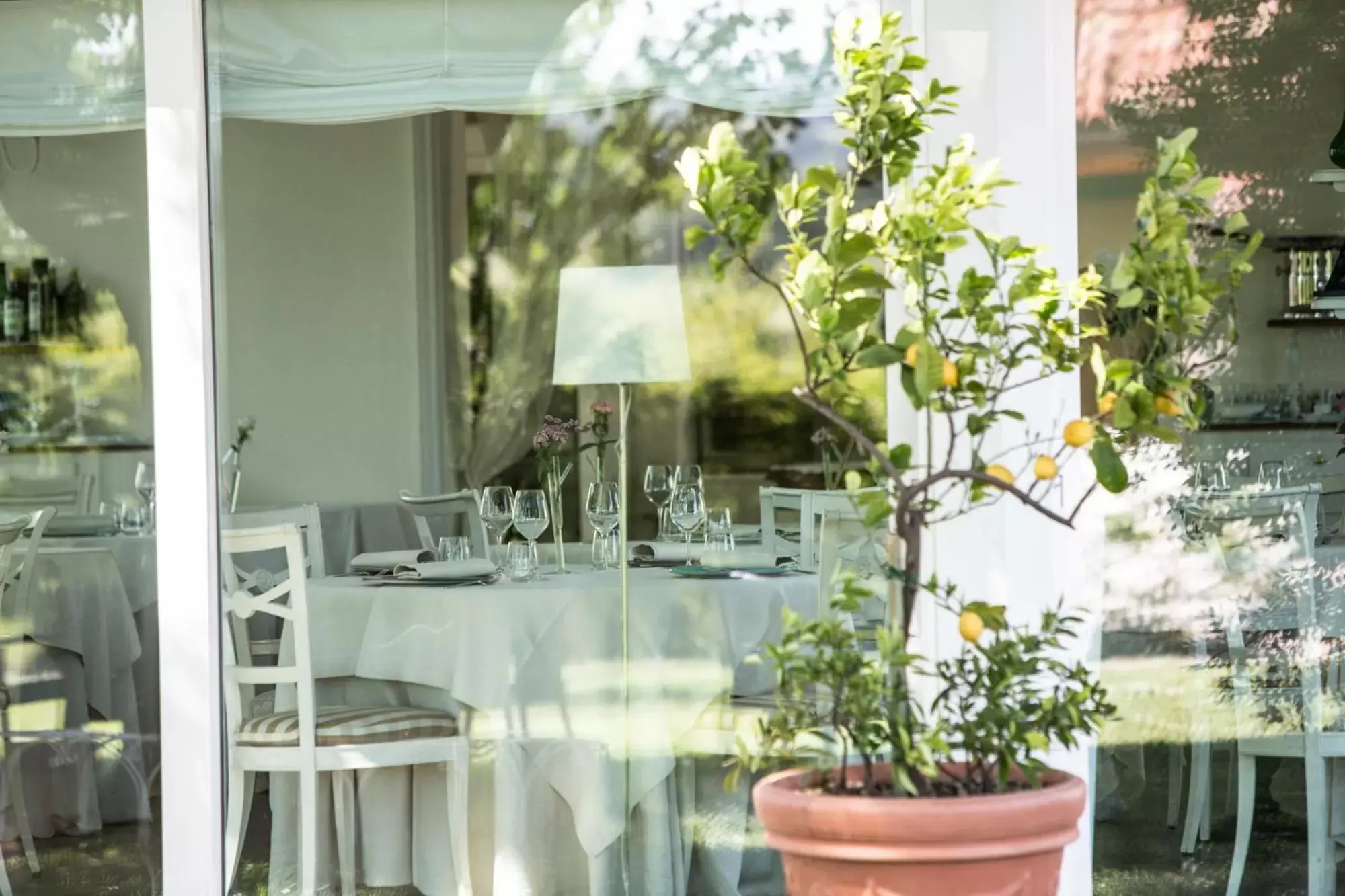 Restaurant/places to eat in Villa Abbondanzi Resort Restaurant/places to eat in Villa Abbondanzi Resort