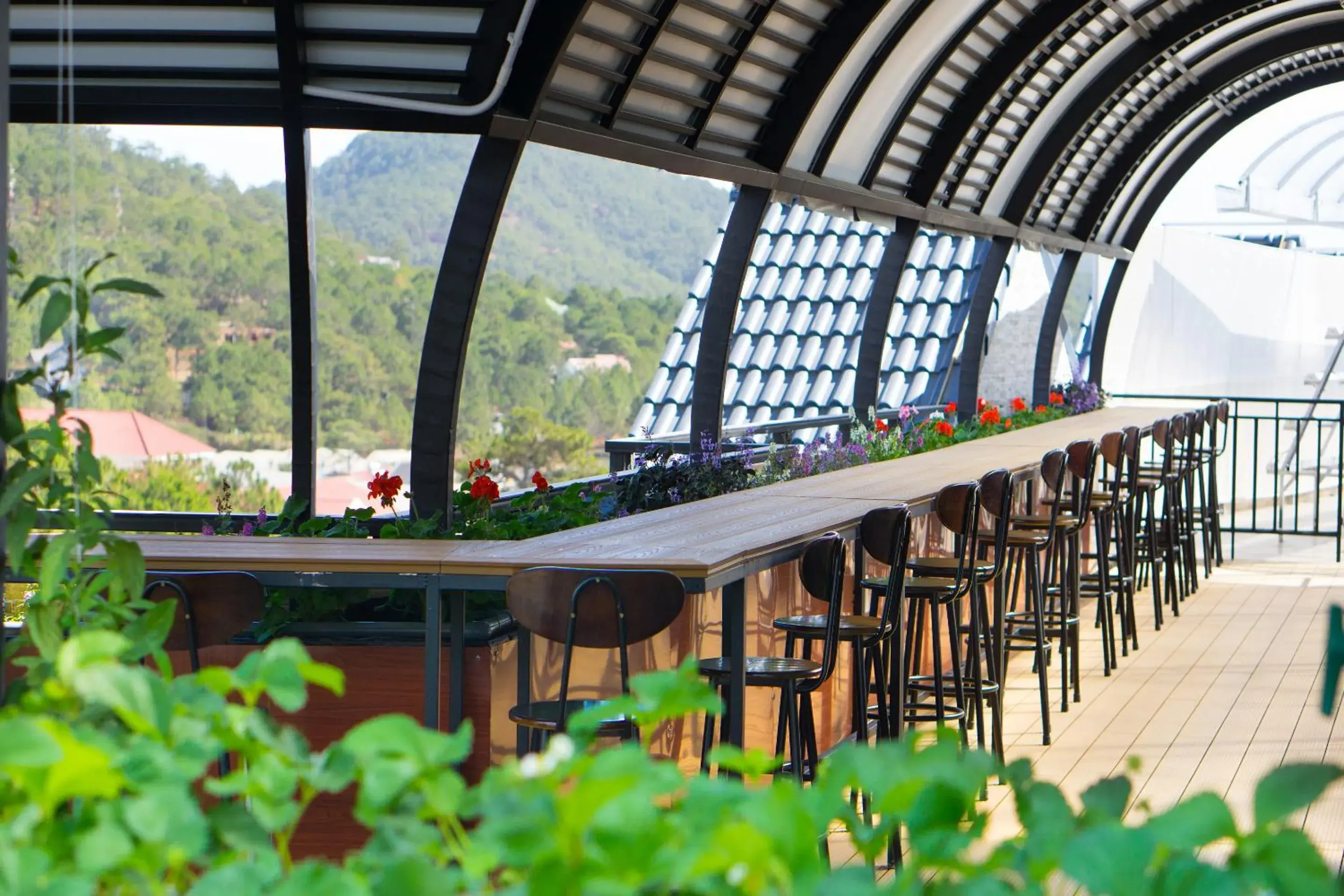 Garden view in Ladalat Hotel