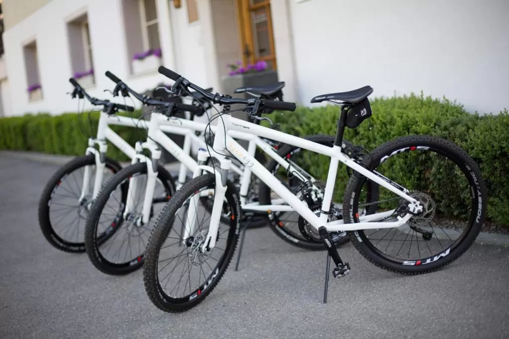 Cycling, Biking in Sonnegg Hotel
