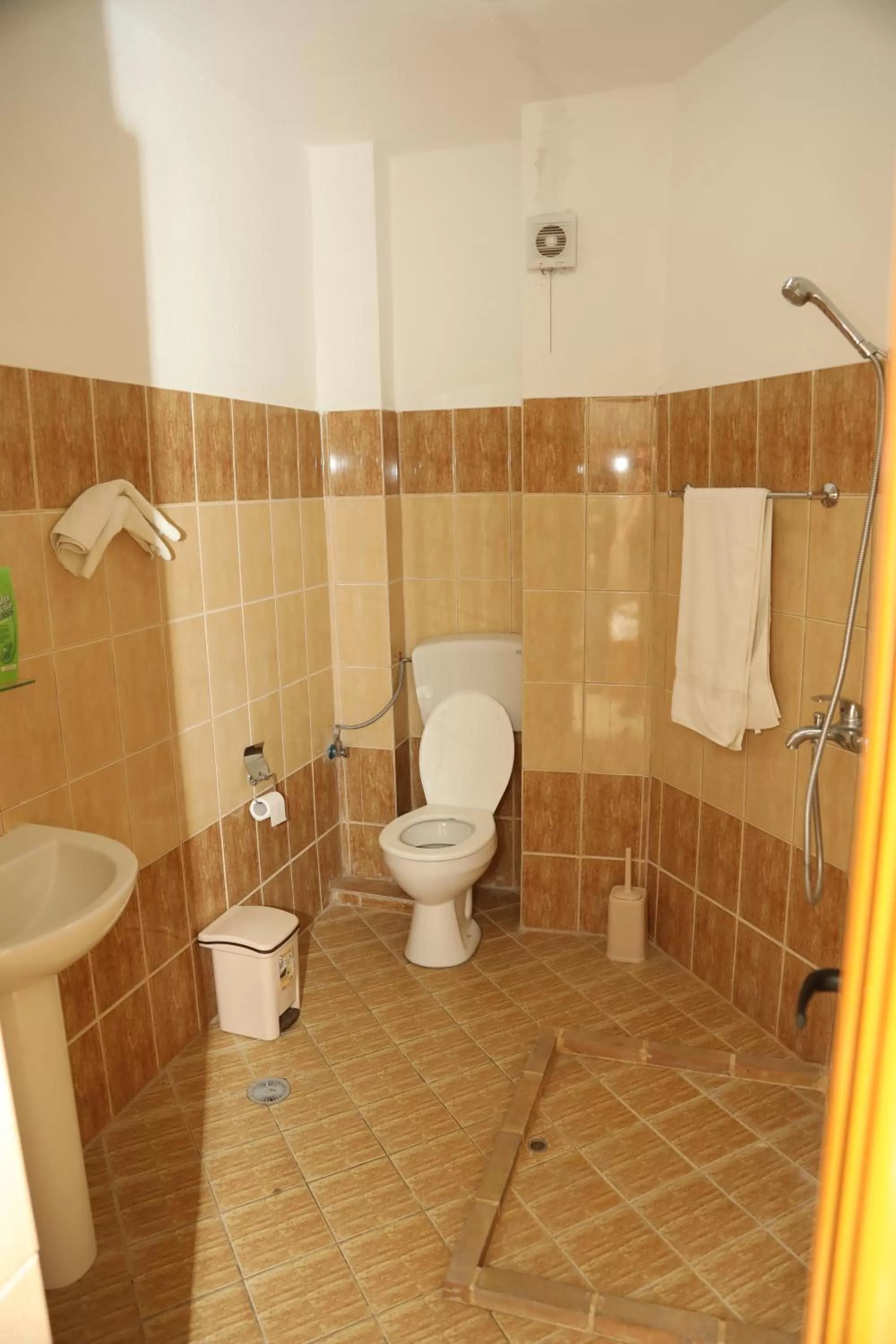 Shower, Bathroom in Hotel Kabashi