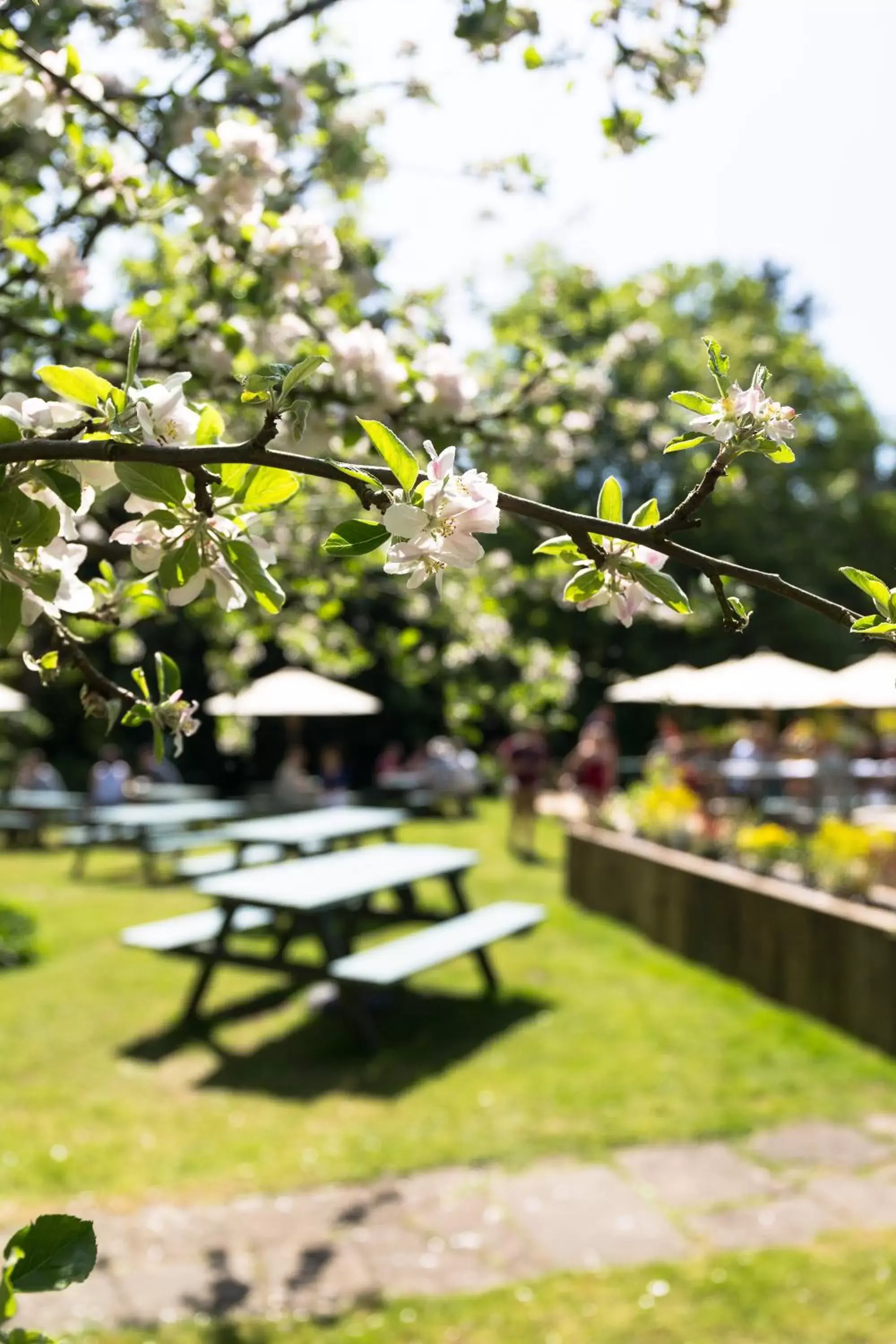 Restaurant/places to eat, Garden in The Dundas Arms