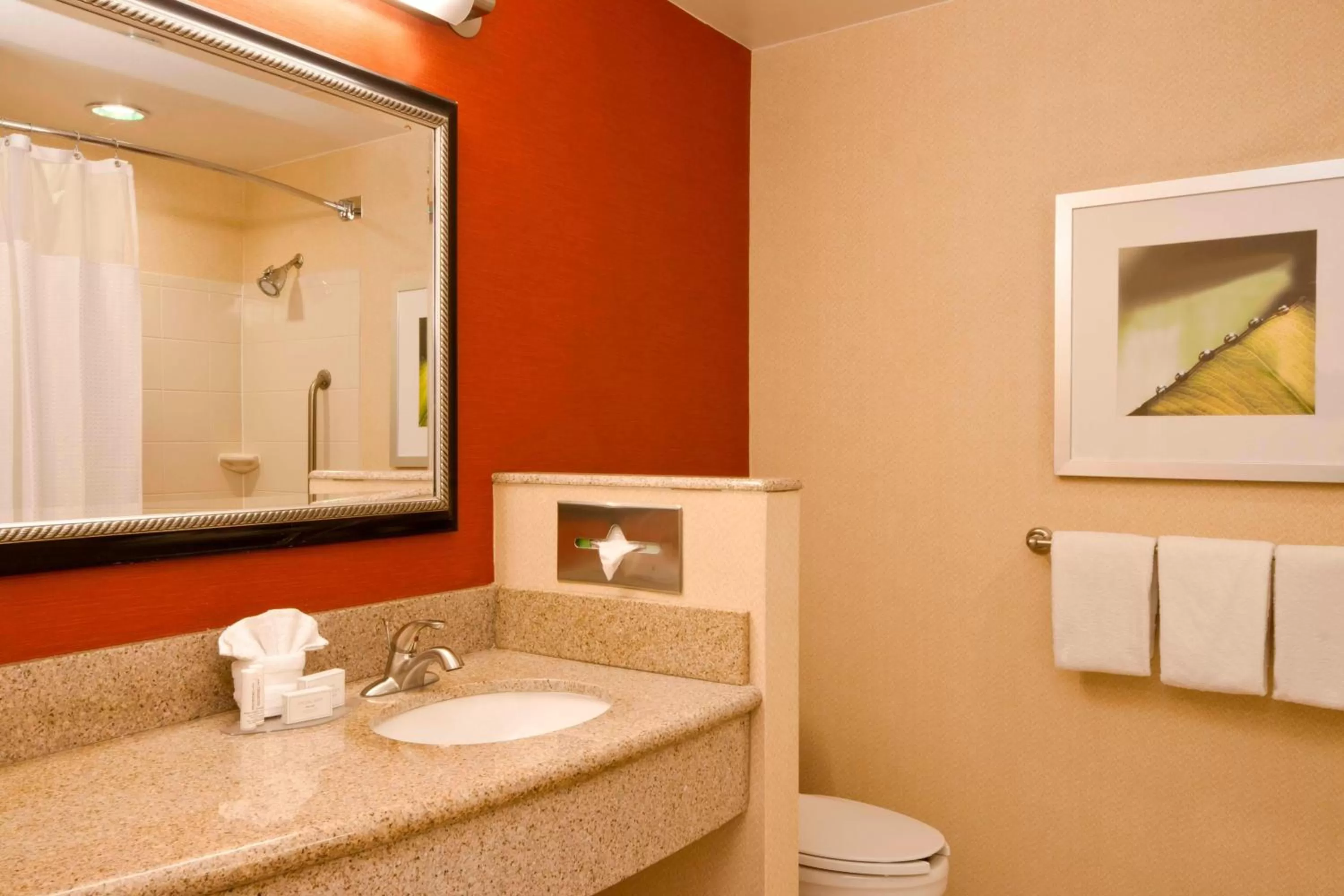 1 Bedroom 2 room Suite, 1 King, Sofa bed, Courtyard view in Courtyard by Marriott Amarillo West/Medical Center