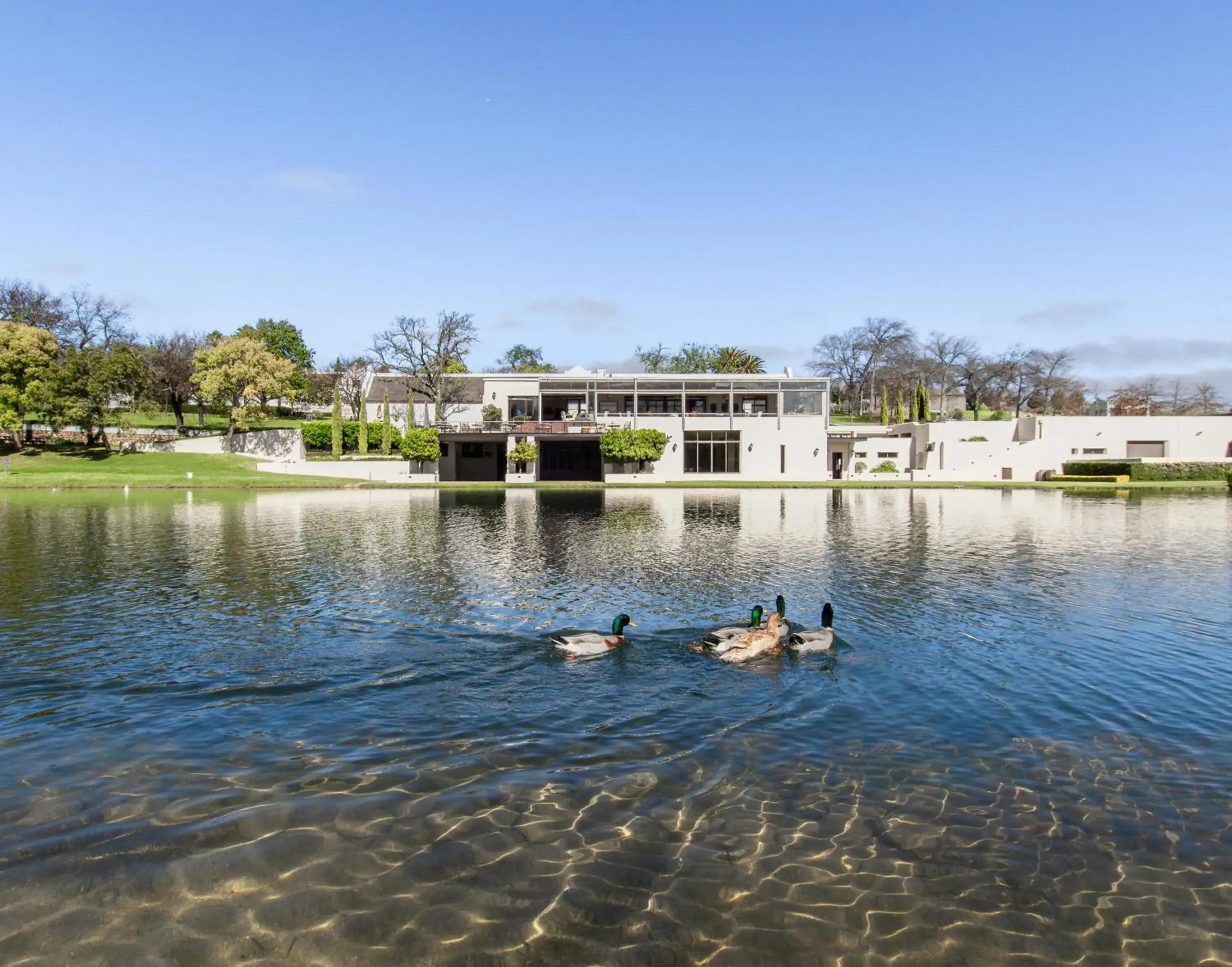 Lake view in Webersburg