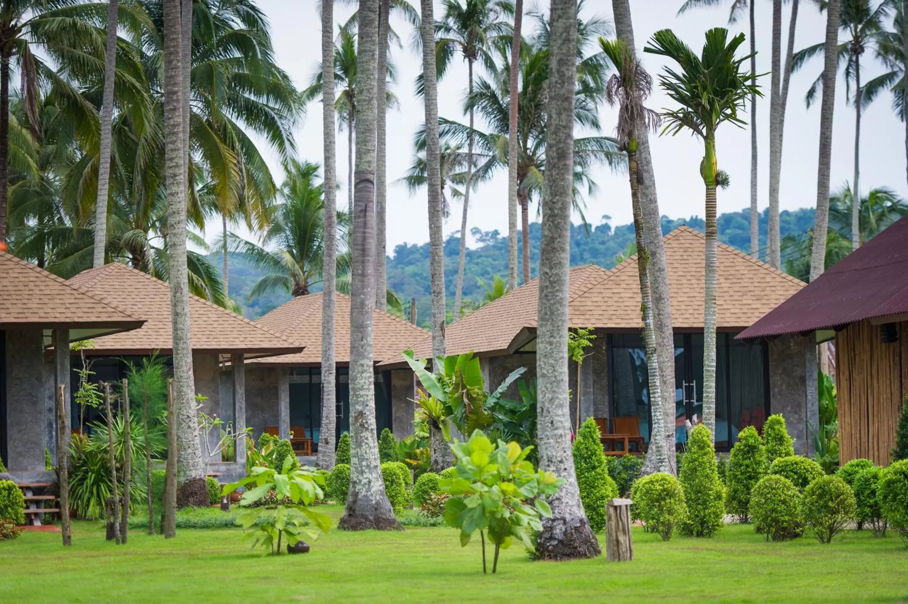 Garden view, Property Building in Medee Resort