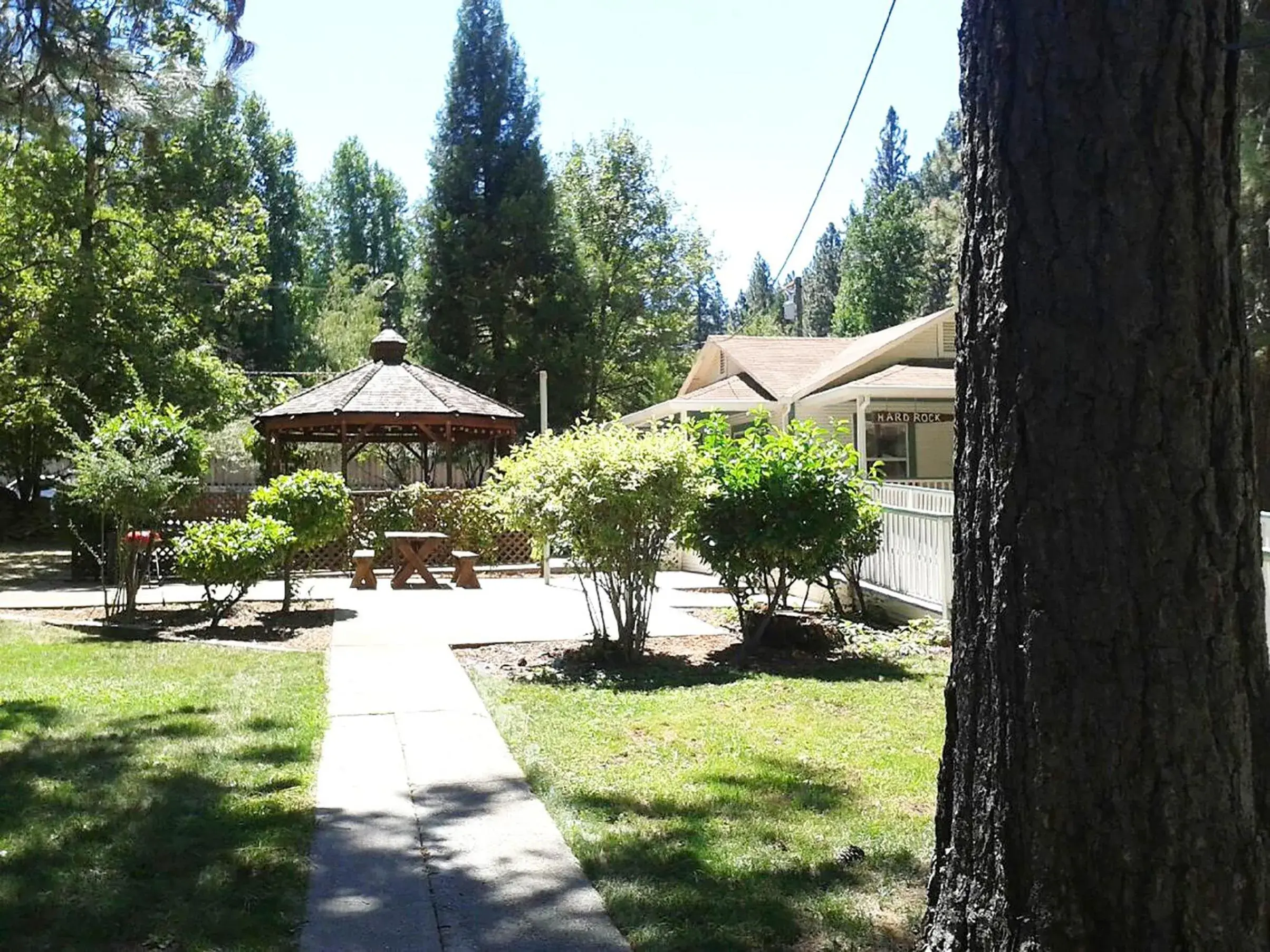 Natural landscape, Garden in Nevada City Inn