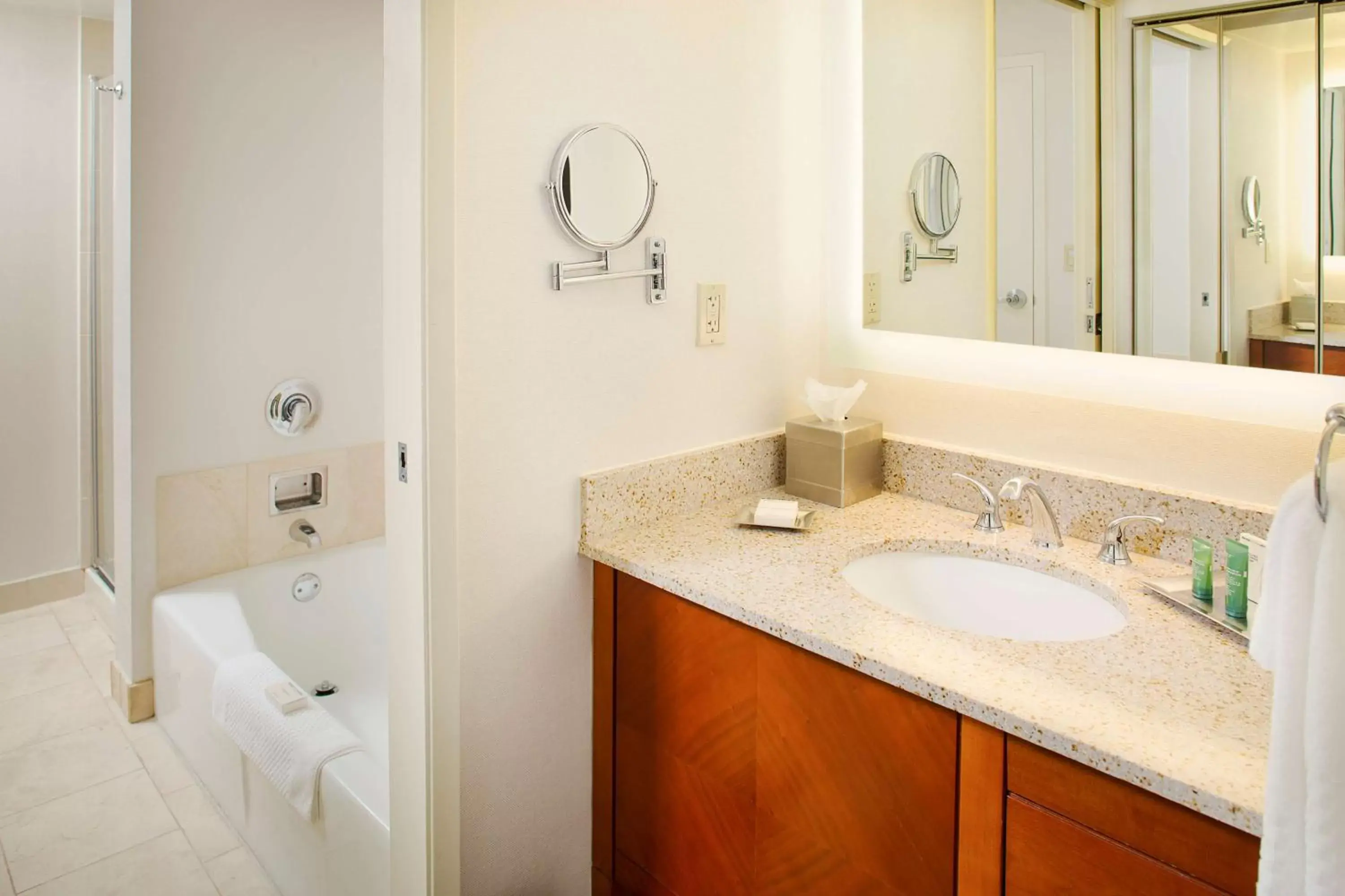 Bathroom in Hilton Atlanta Perimeter Suites