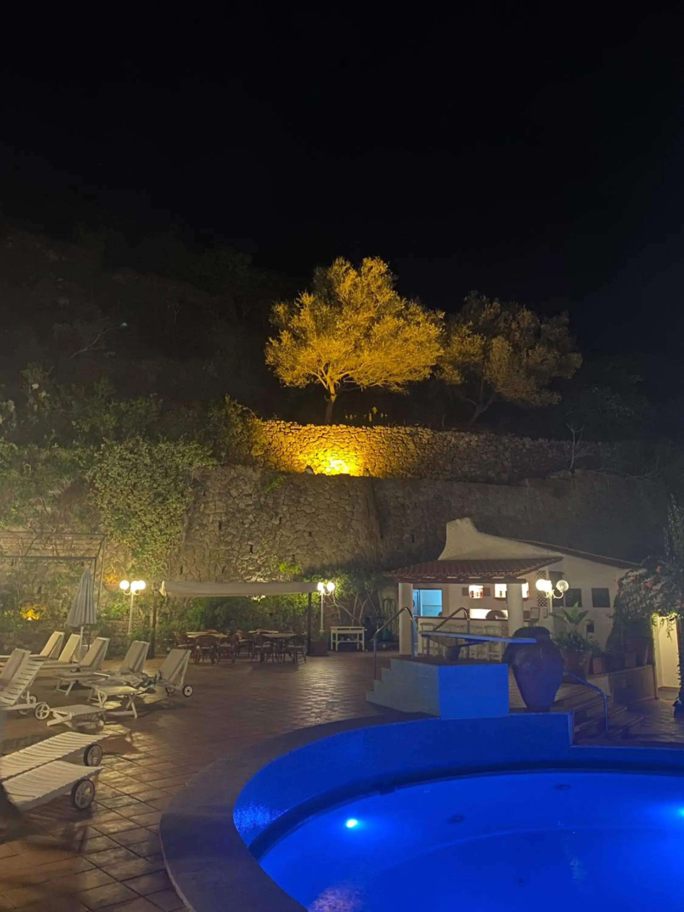 Swimming Pool in Hotel Carasco