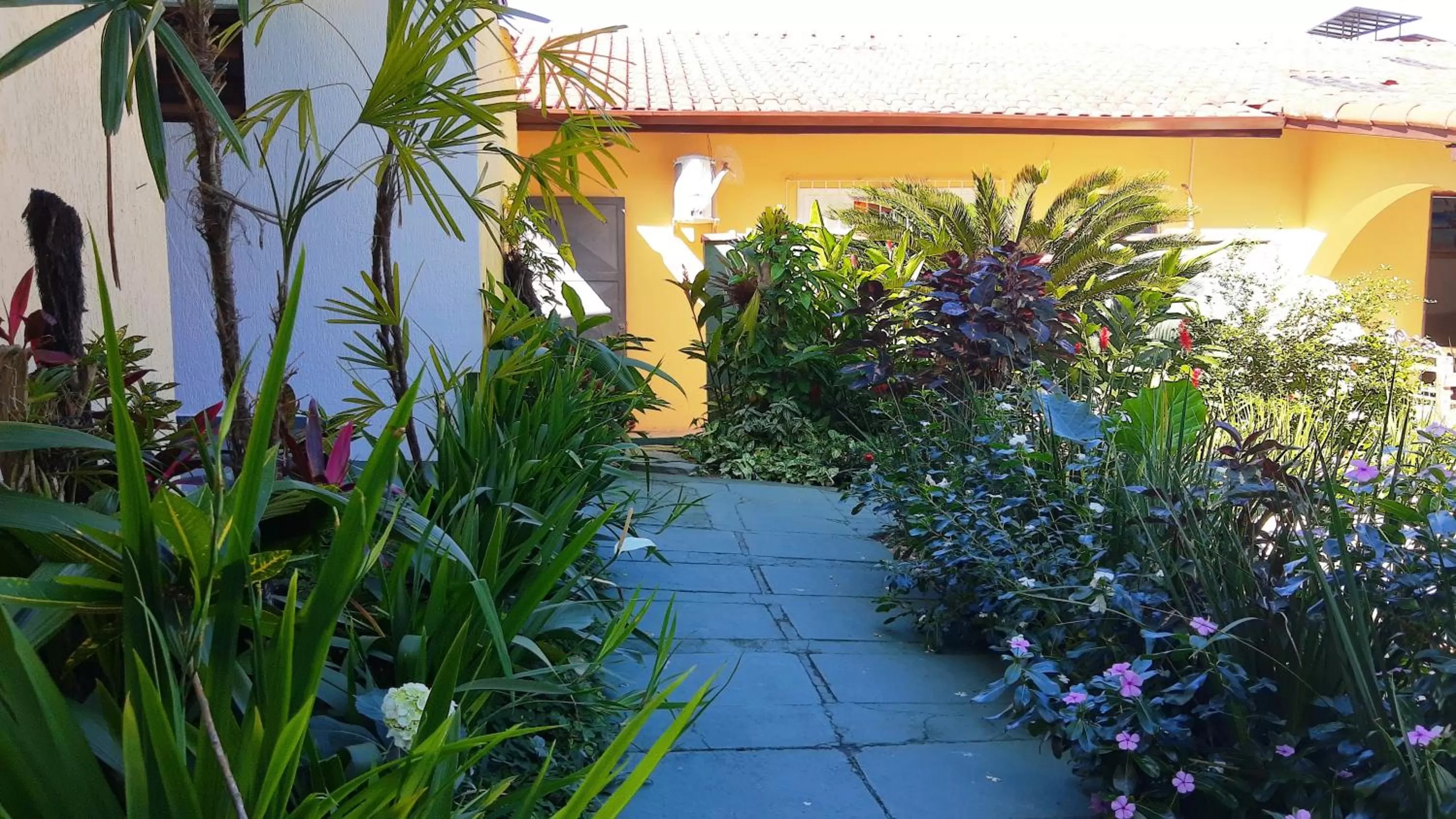 Garden in Pousada Viva Ubatuba