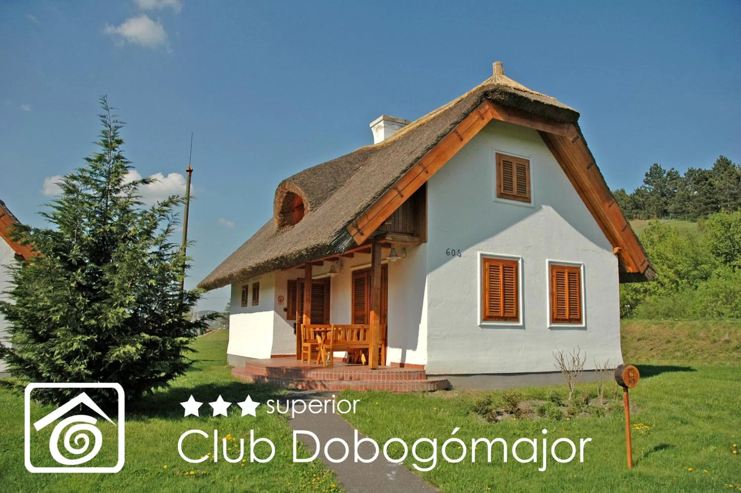 Decorative detail in Club Dobogómajor superior