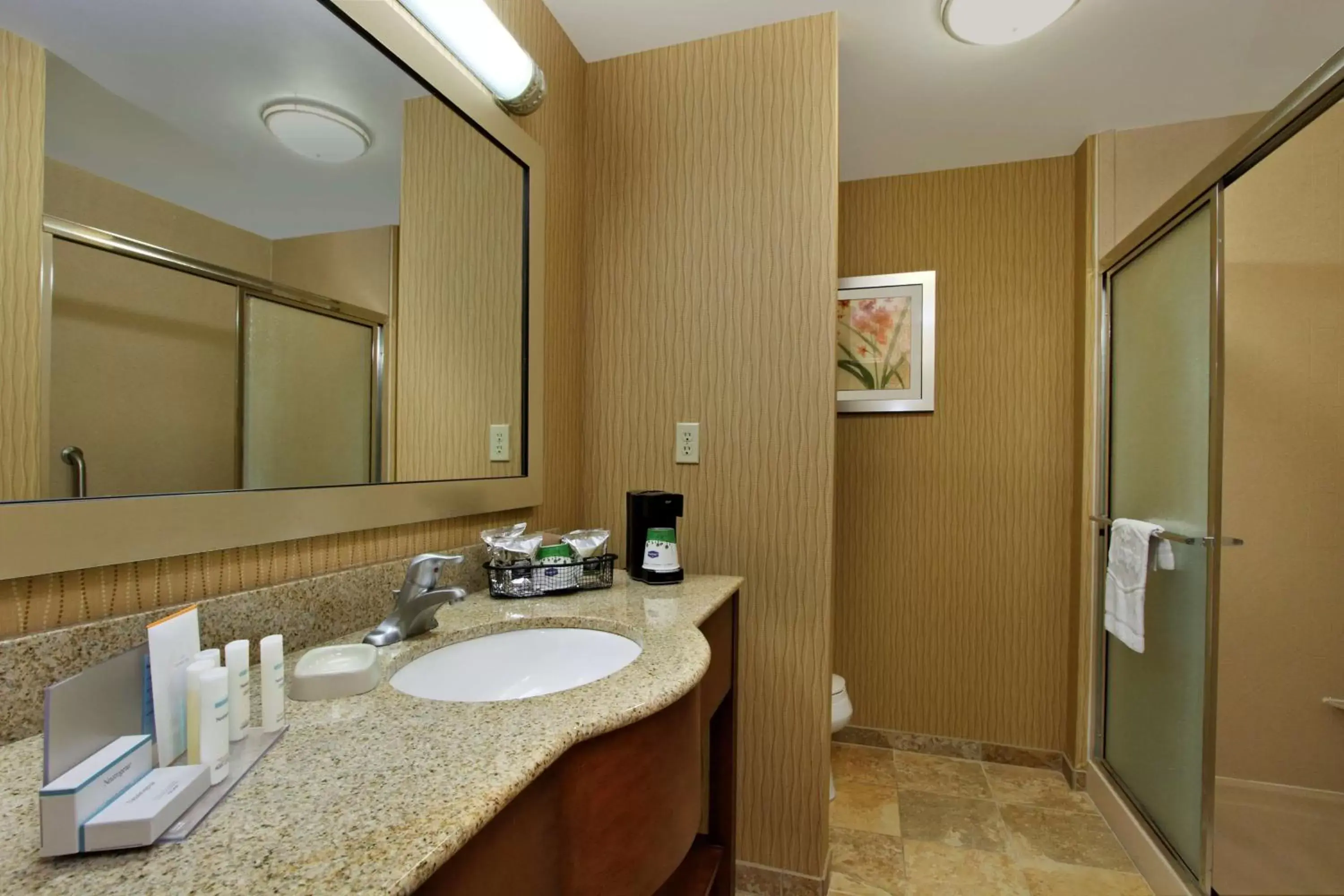 Bathroom in Hampton Inn & Suites Exmore - Eastern Shore