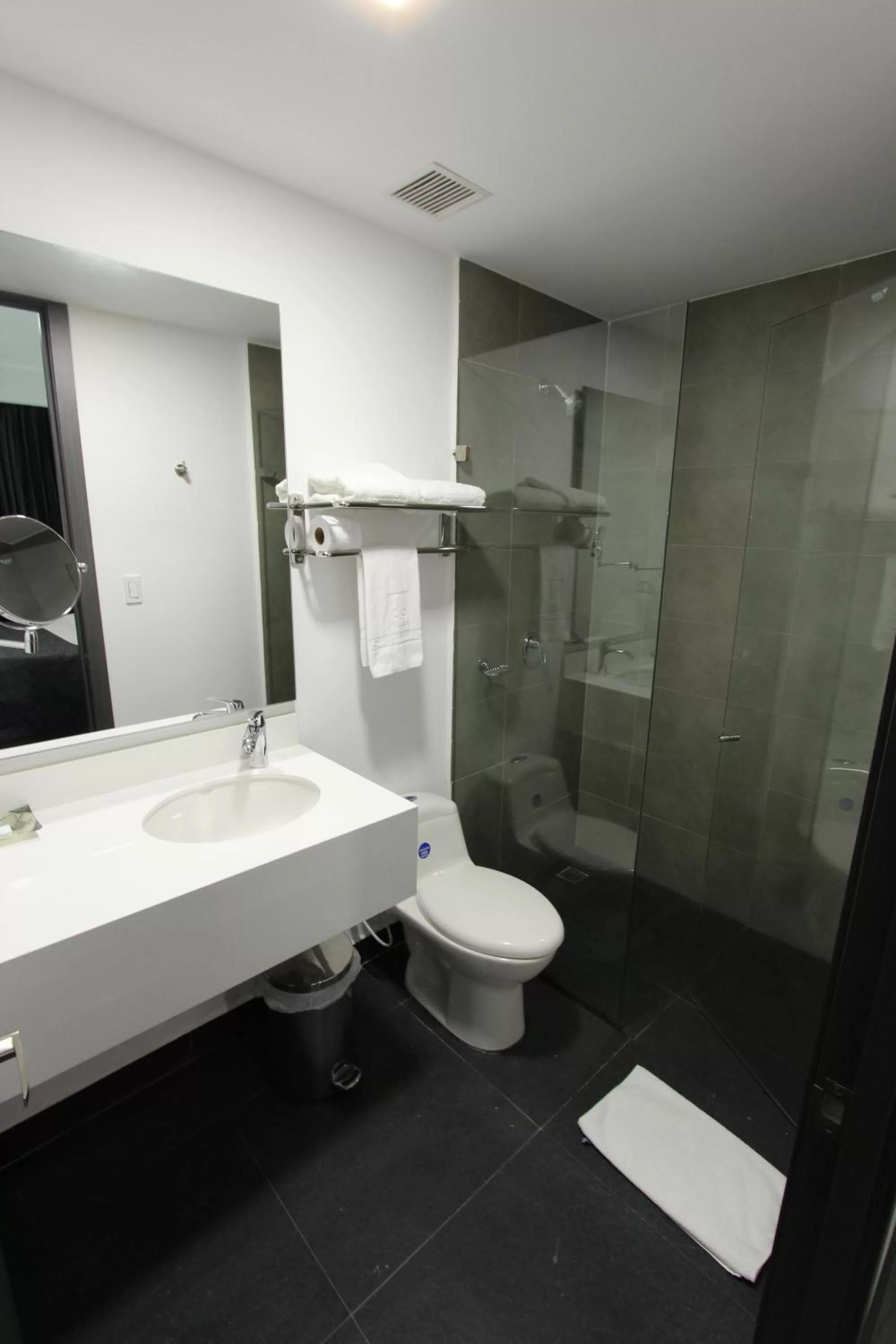 Shower in Hotel San Fernando Real