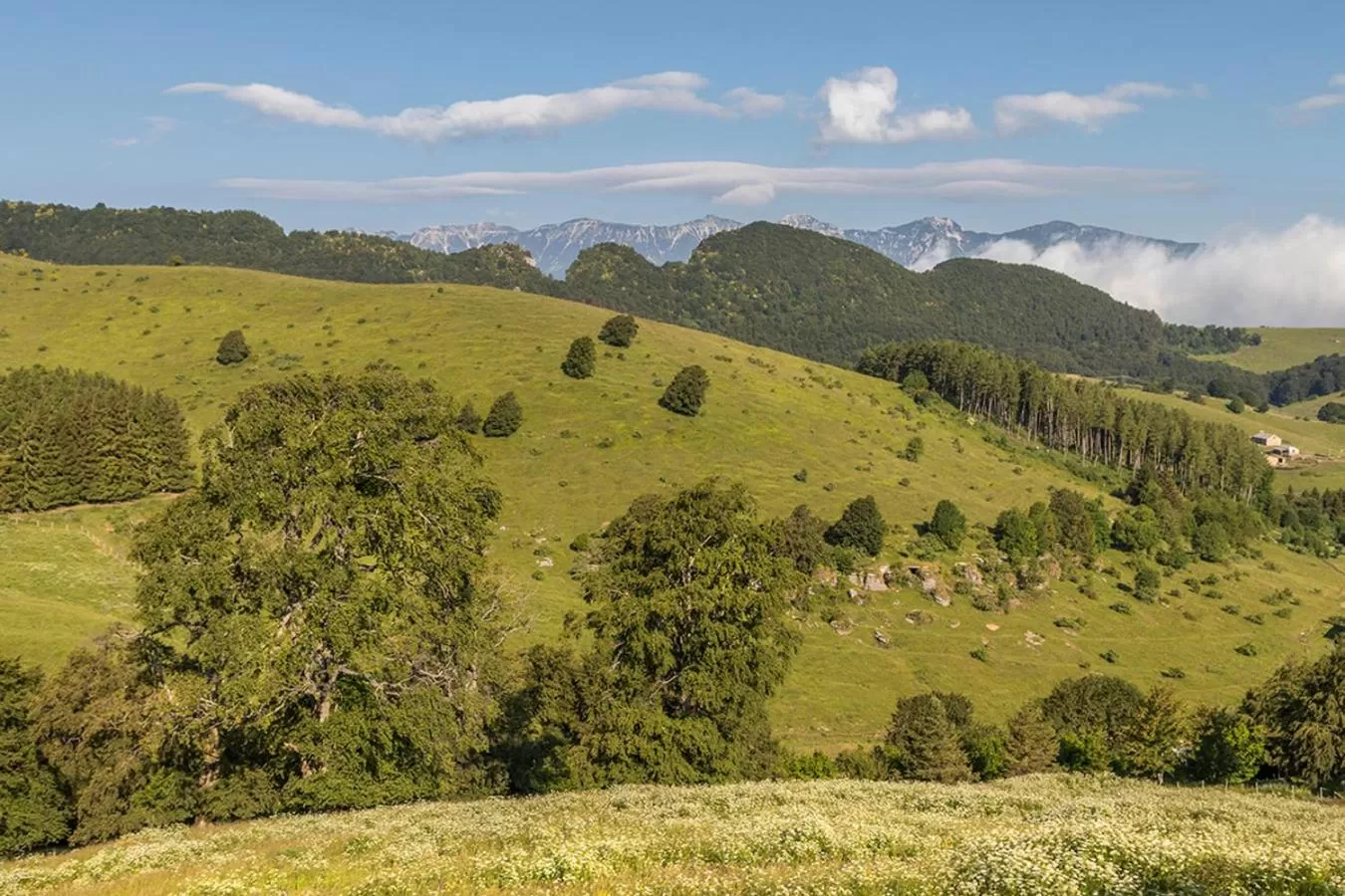 Natural Landscape in Locanda Alpina