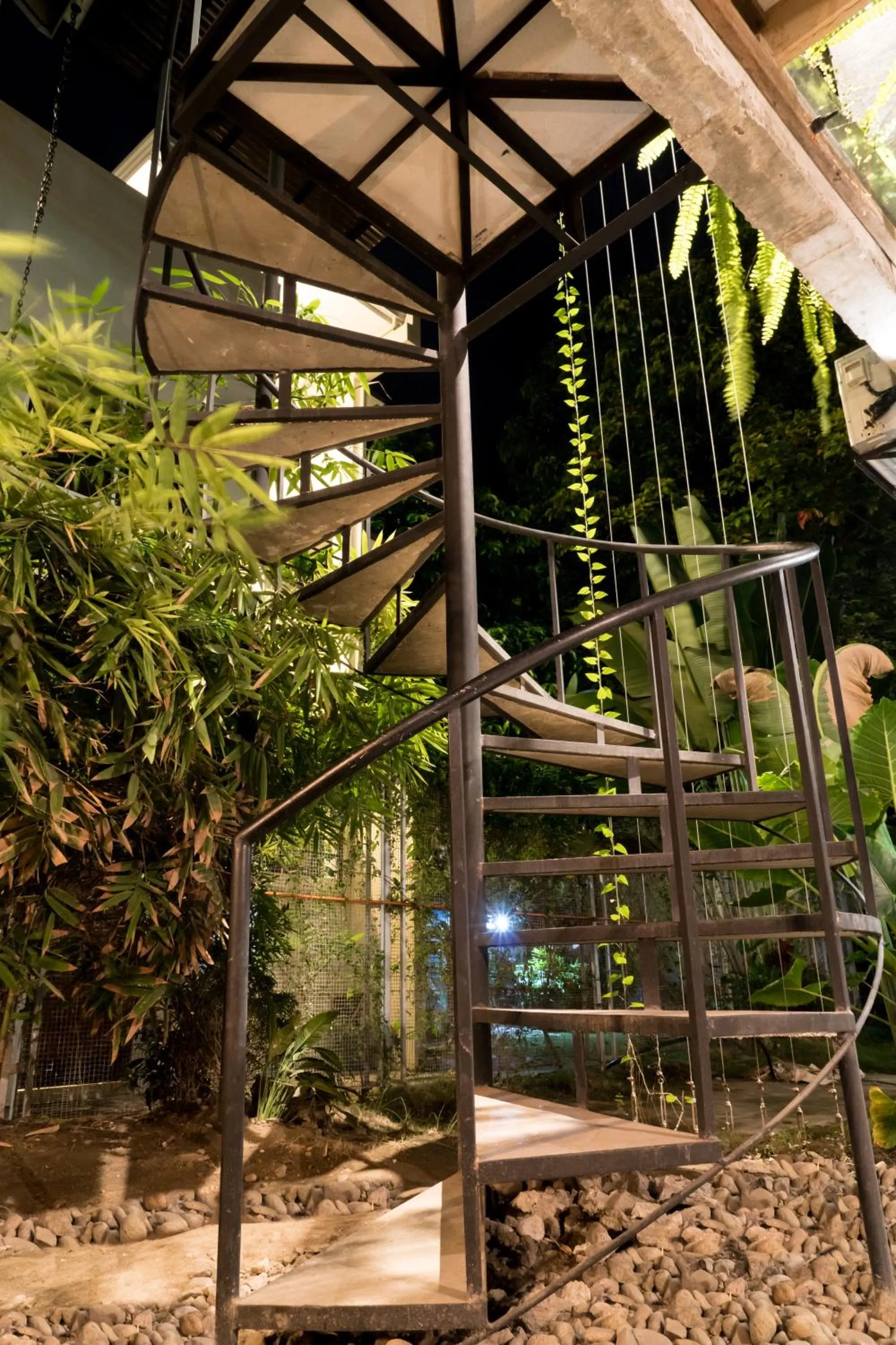 Property building in The Flying Fish Hostel