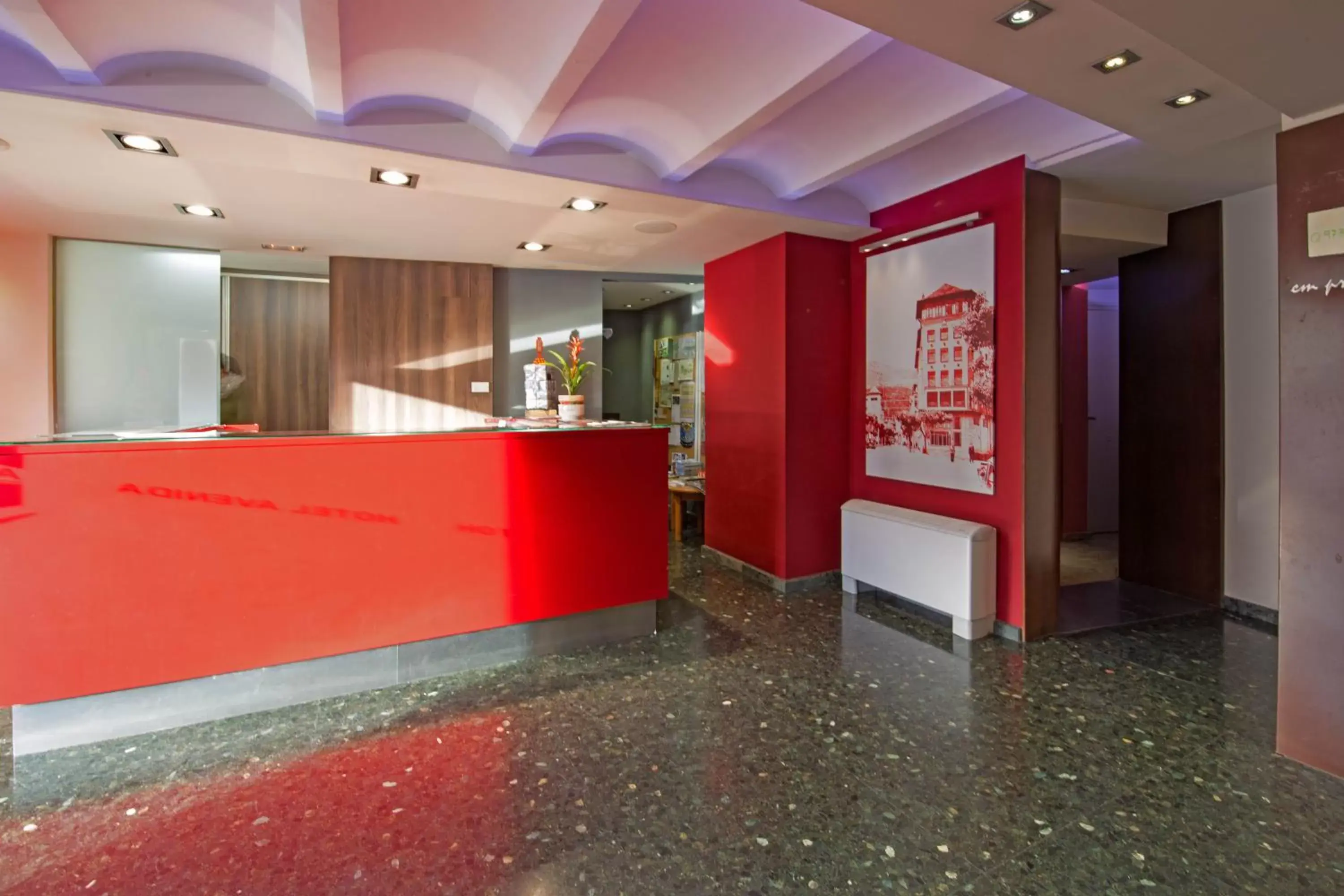 Decorative detail, Lobby/Reception in Hotel Avenida