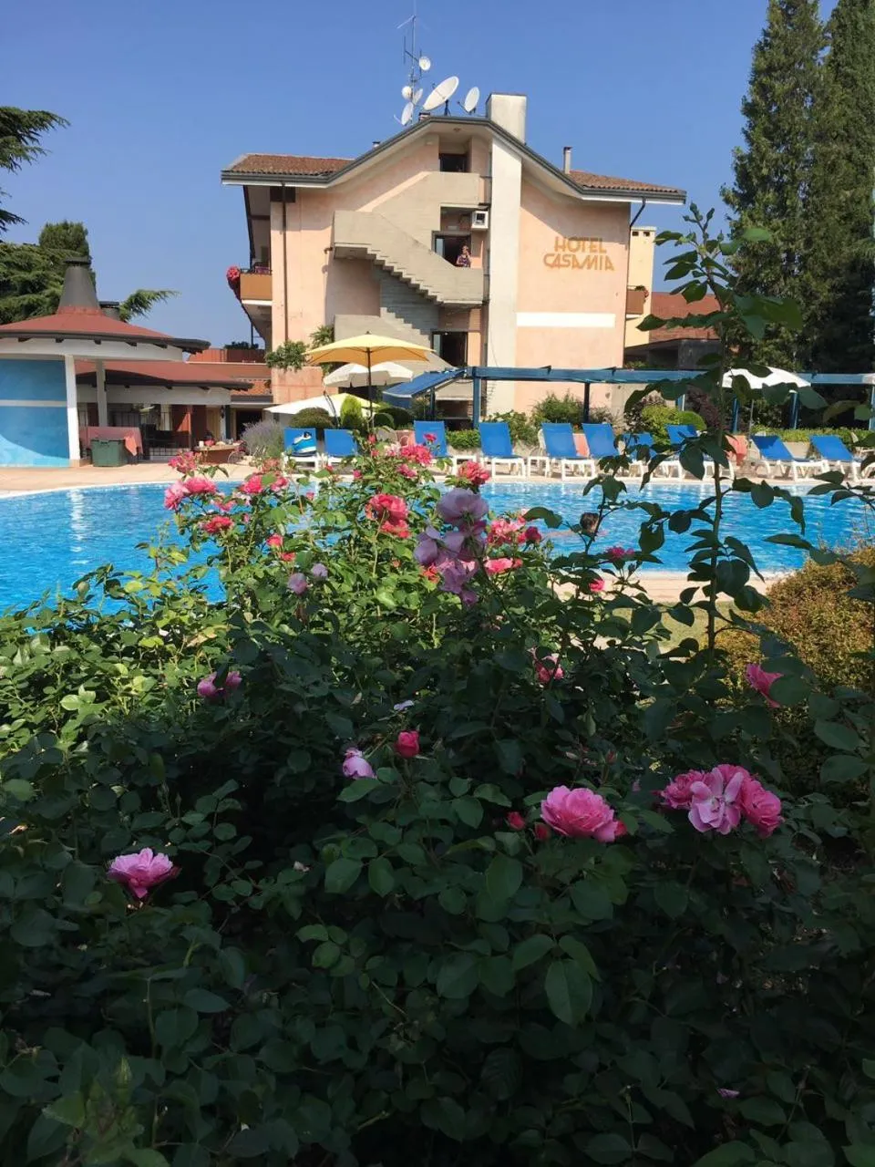 Garden view in Parc Hotel Casa Mia