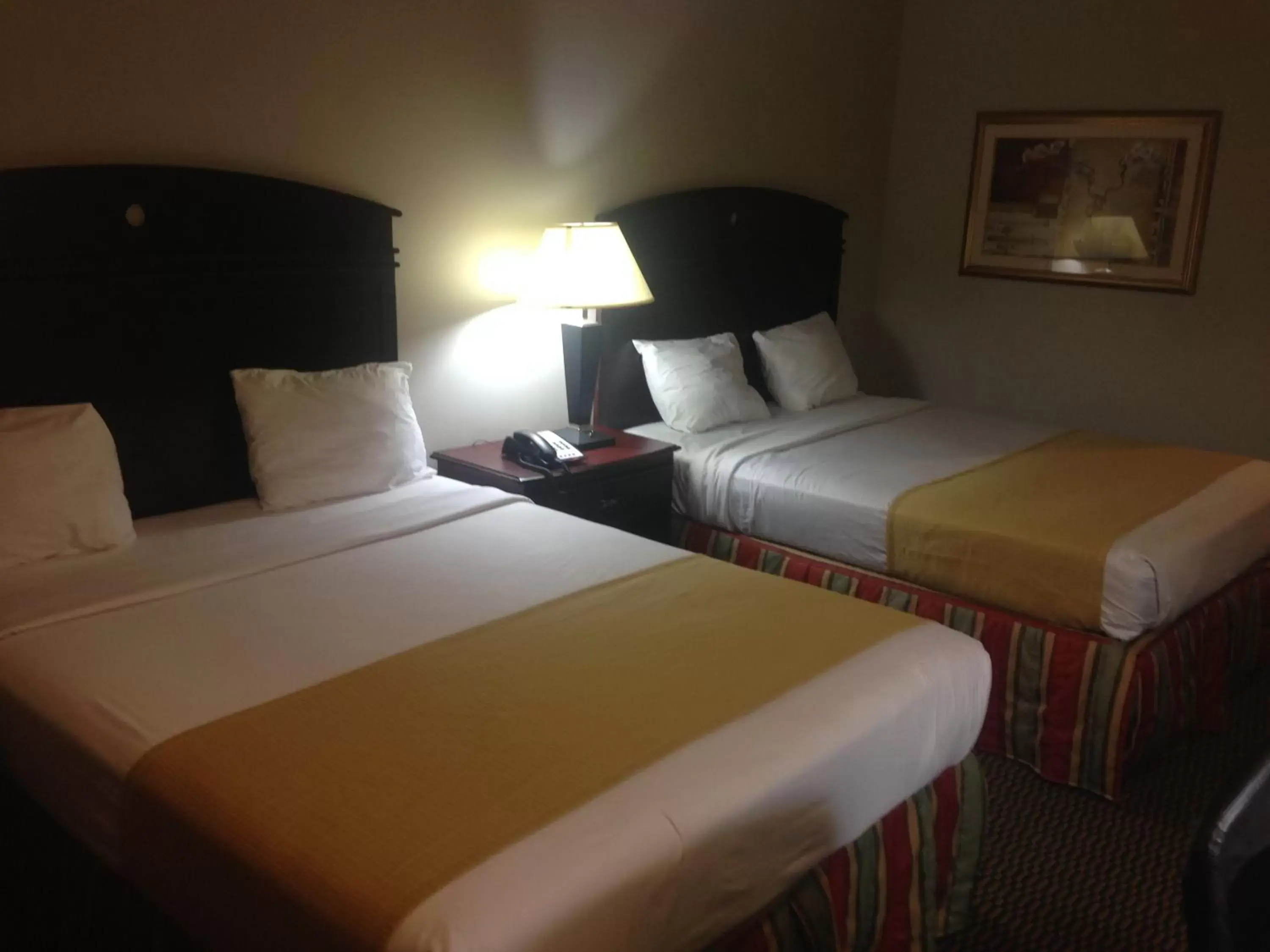 Bed in Express Inn