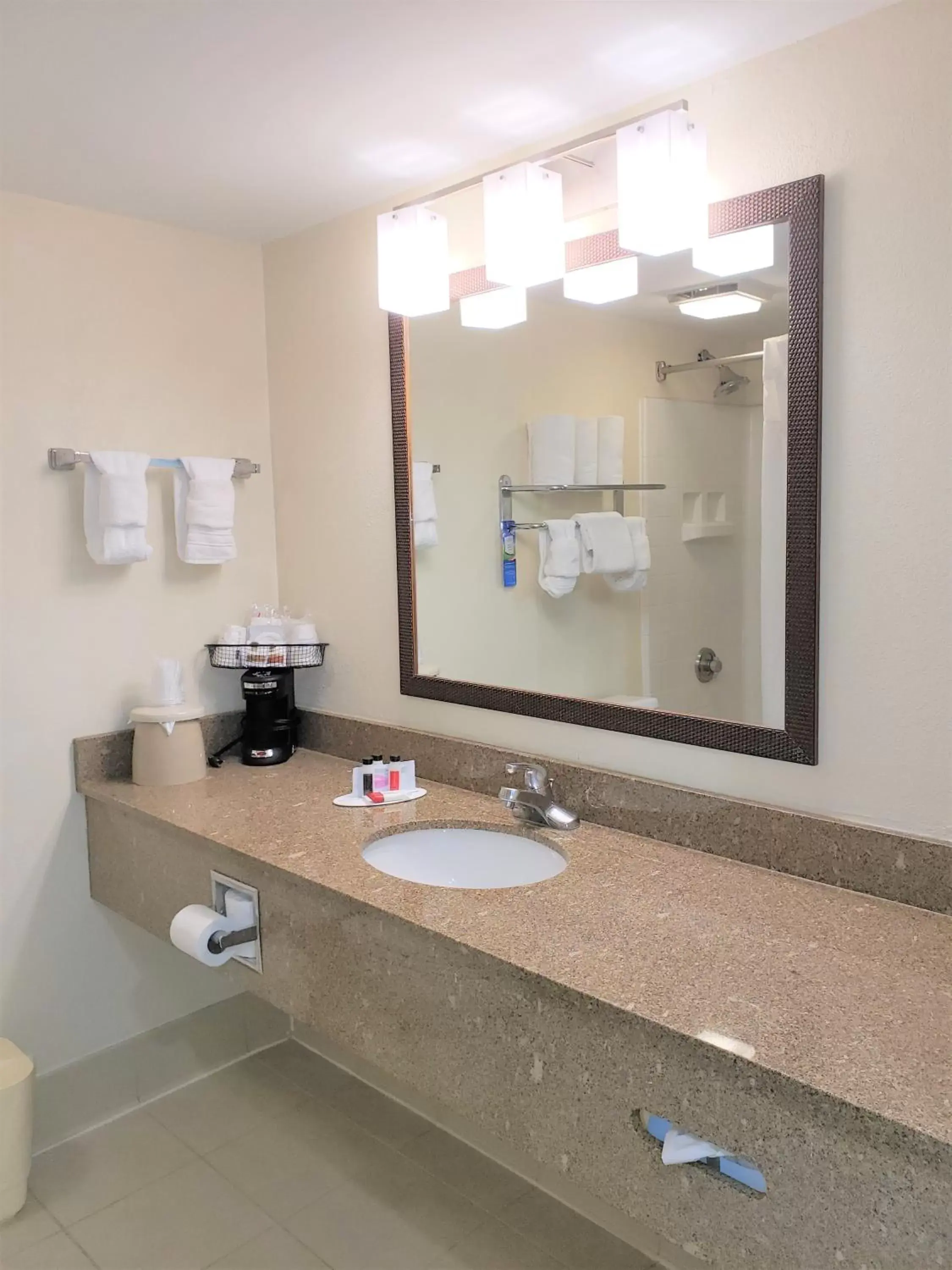 Bathroom in Best Western Fishers Indianapolis