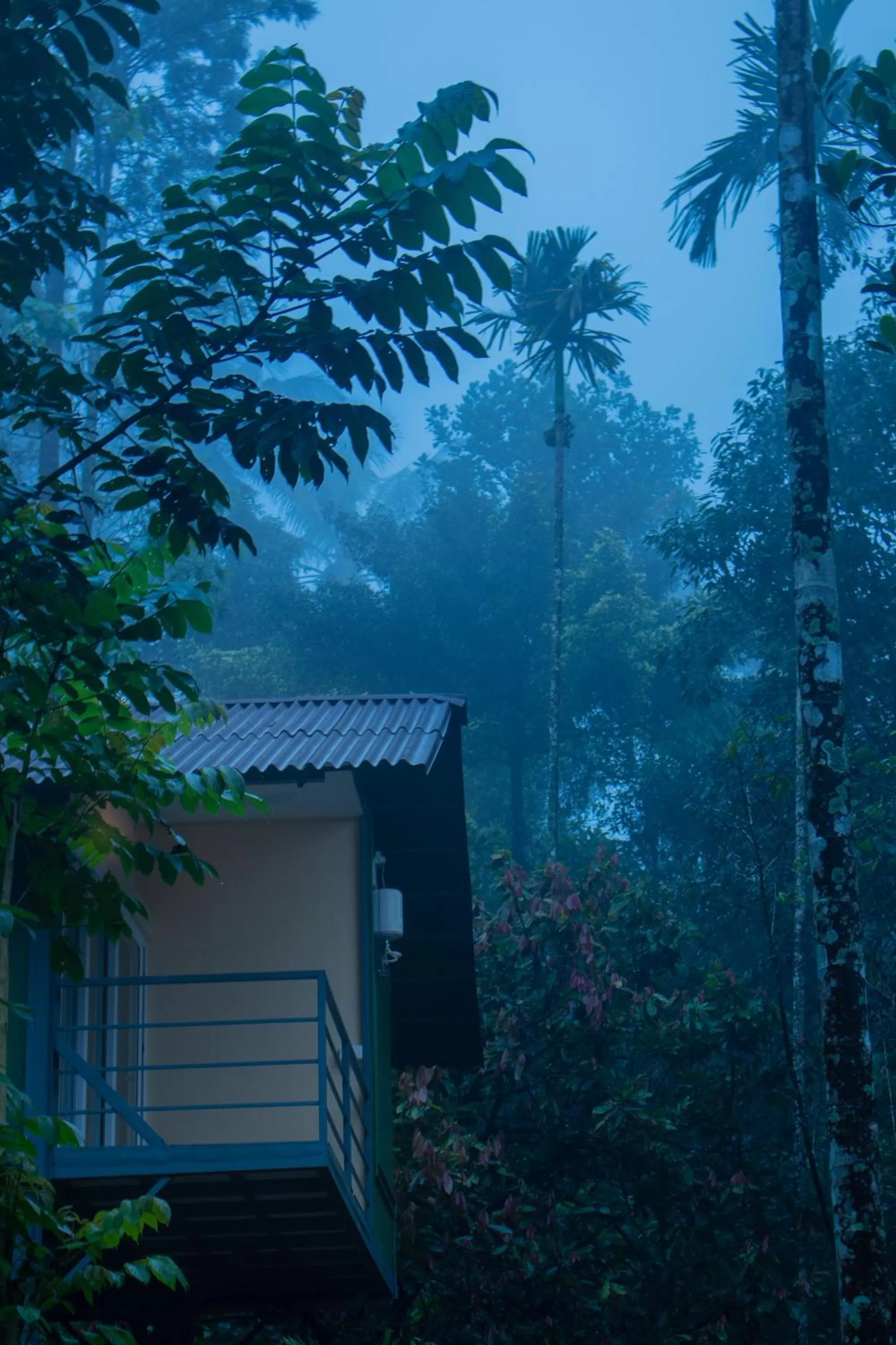 Property building in Edens Munnar