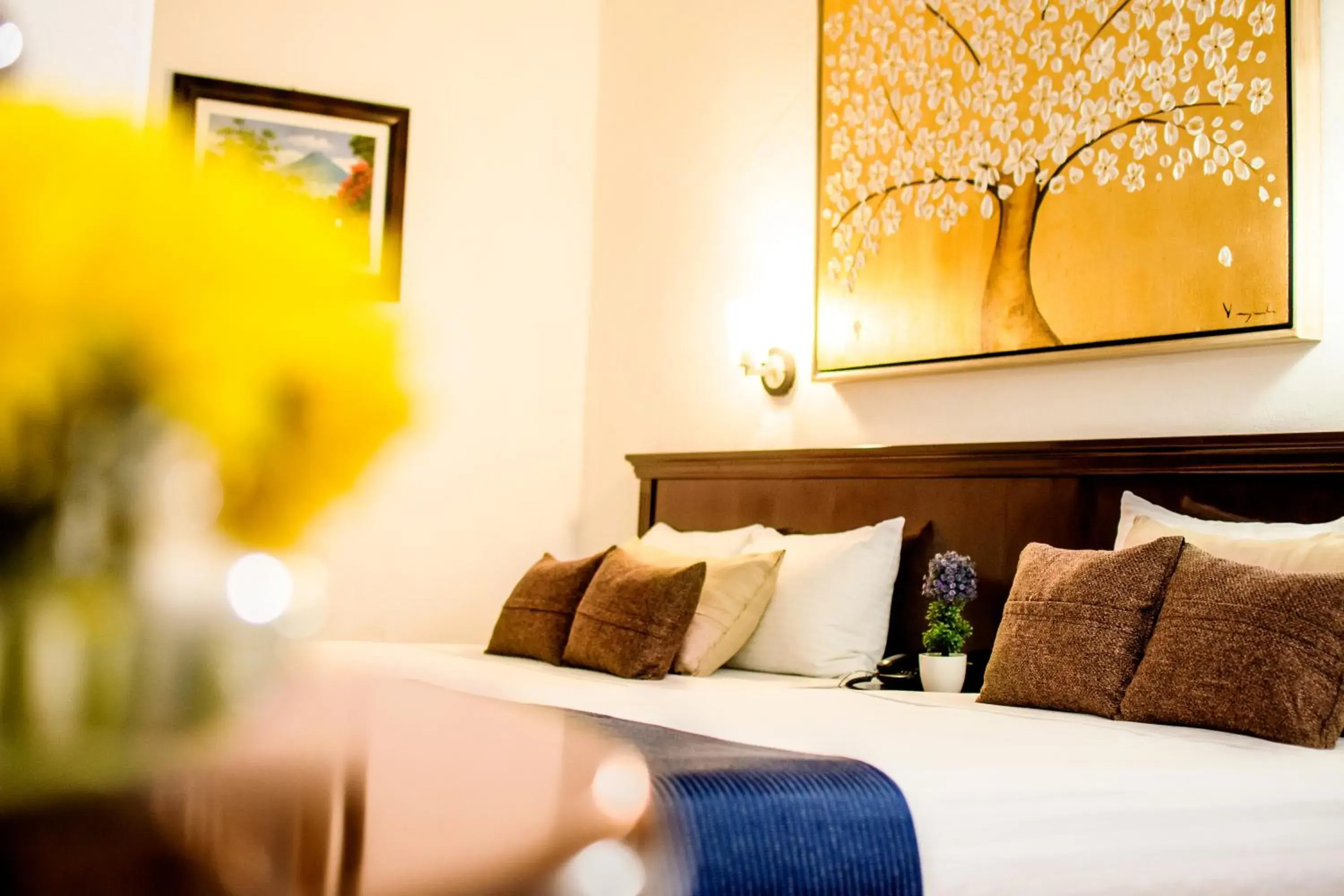 Junior Suite in Hotel del Carmen, en el Centro- DESAYUNO Incluido ! Junior Suite in Hotel del Carmen, en el Centro- DESAYUNO Incluido !