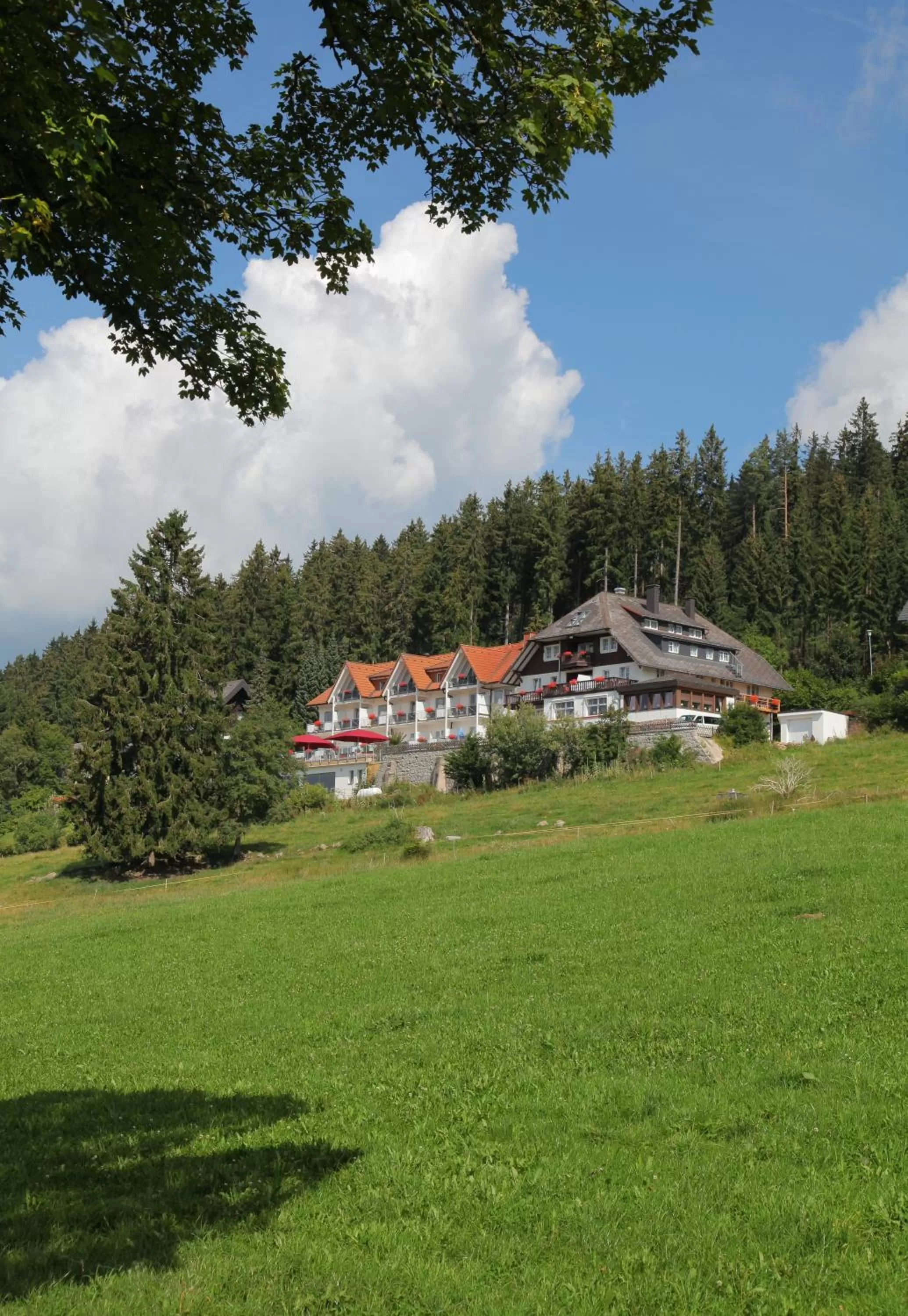 Property building in JUFA Hotel Schwarzwald