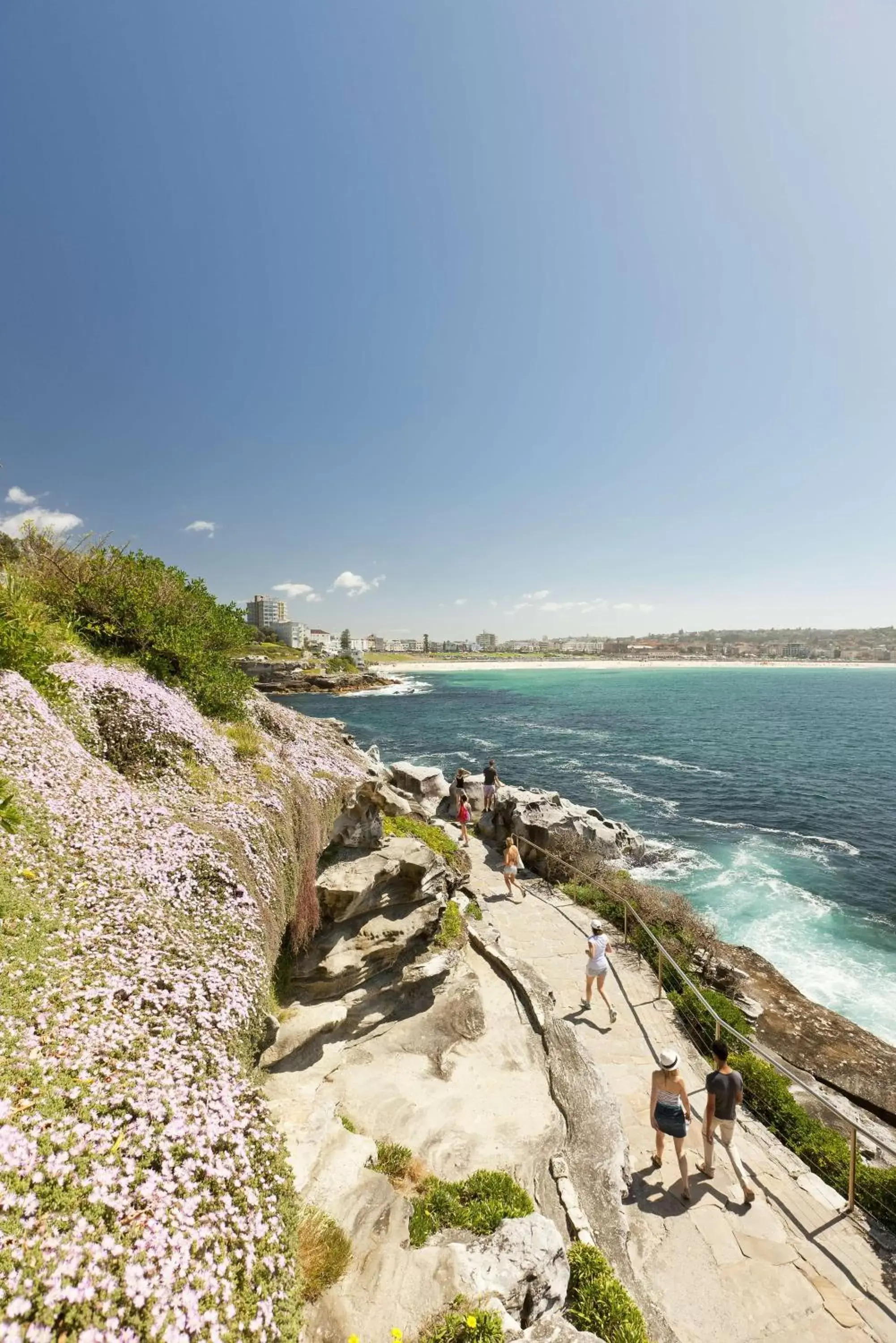 Nearby landmark, Beach in Radisson Blu Plaza Hotel Sydney