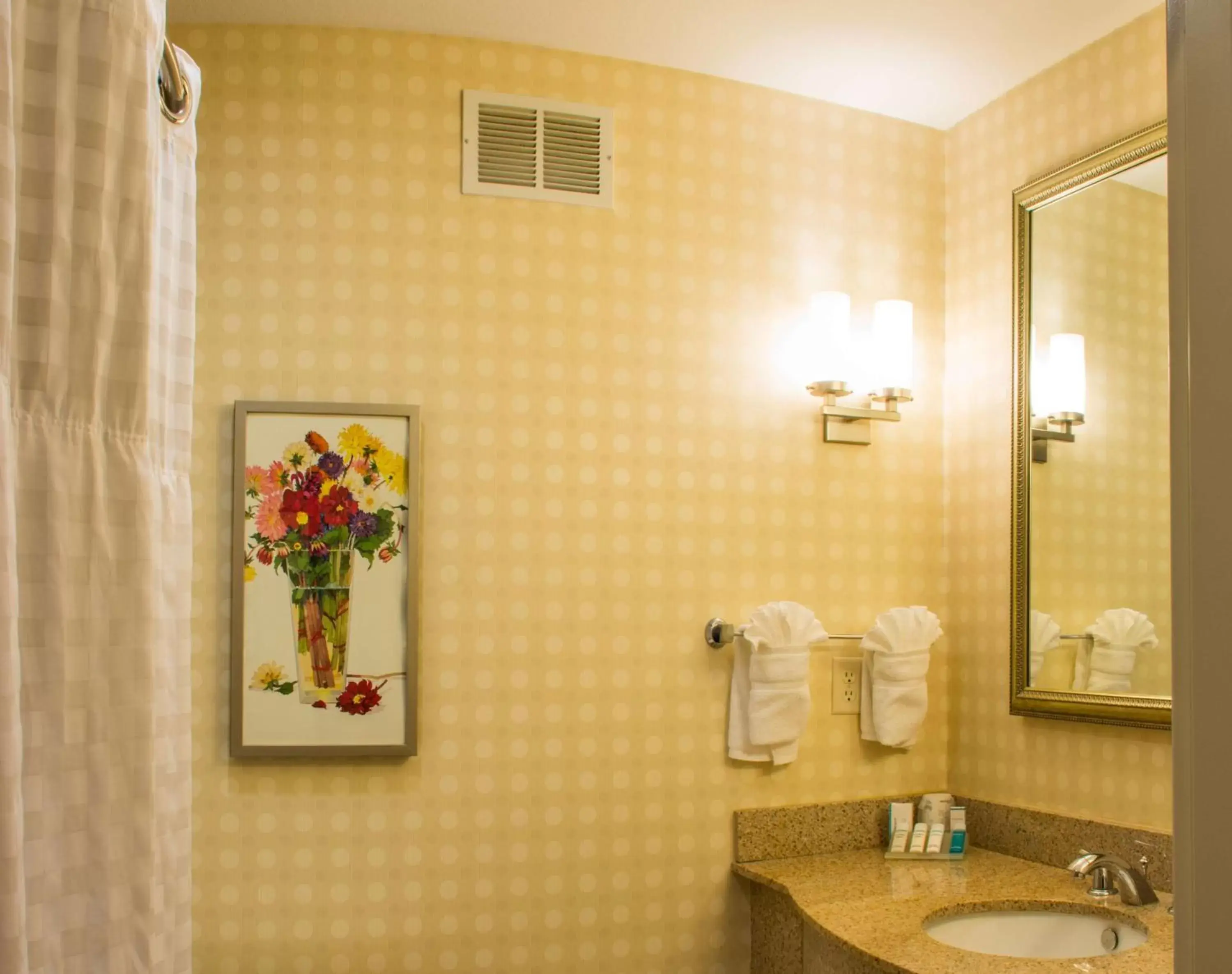 Bathroom in Hilton Garden Inn Elkhart