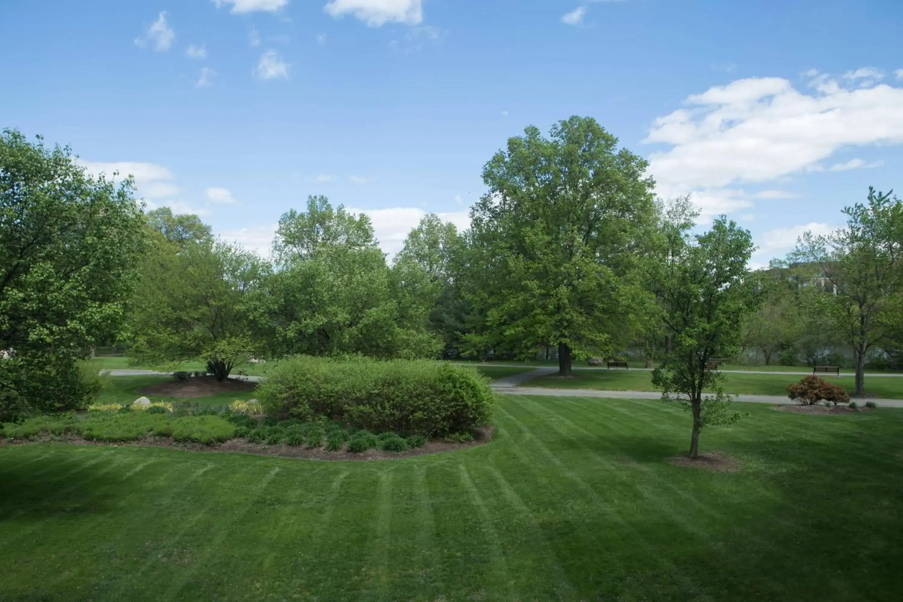 Other, Garden in Sheraton Parsippany Hotel