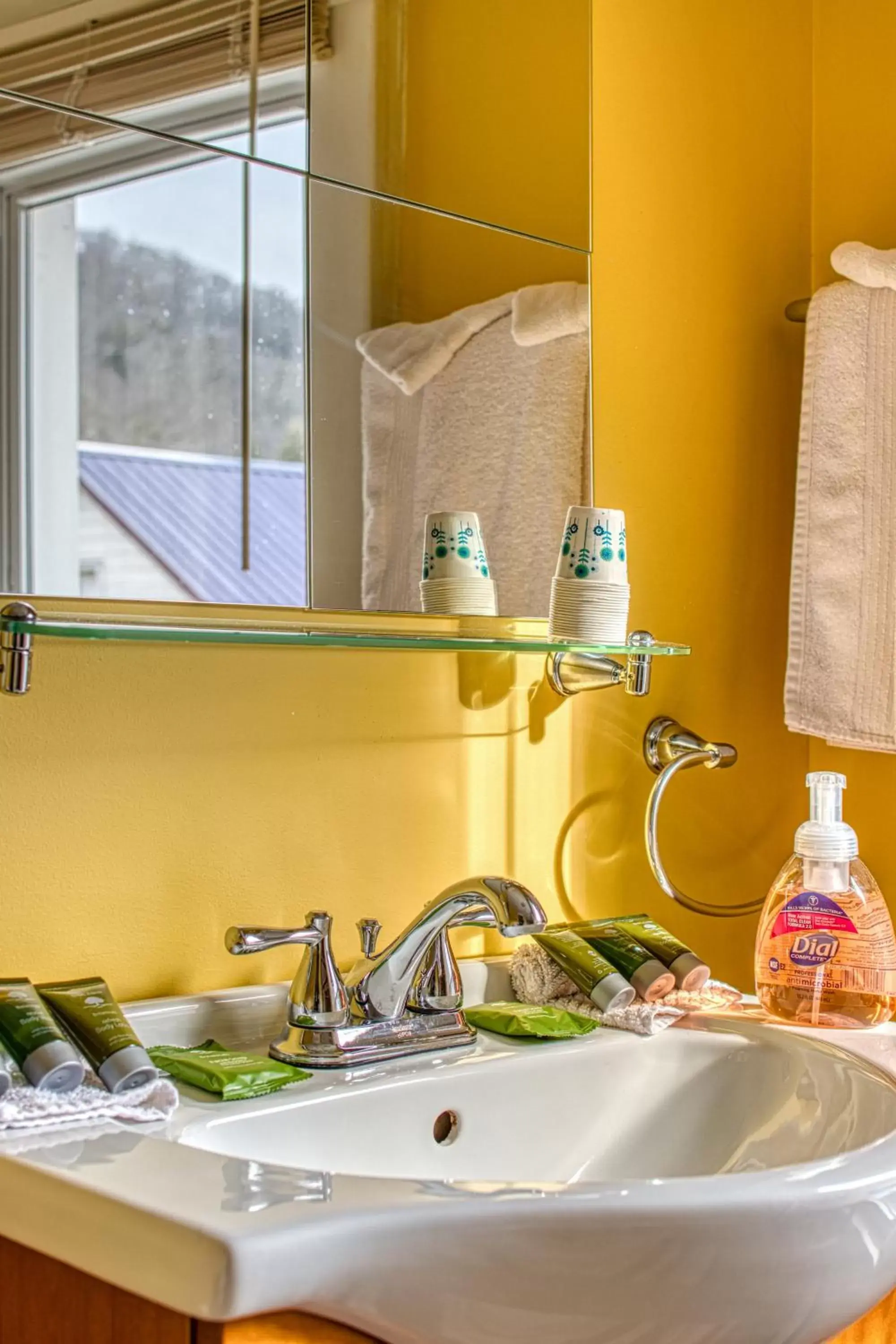 Bathroom in Mountain Treasure Bed and Breakfast