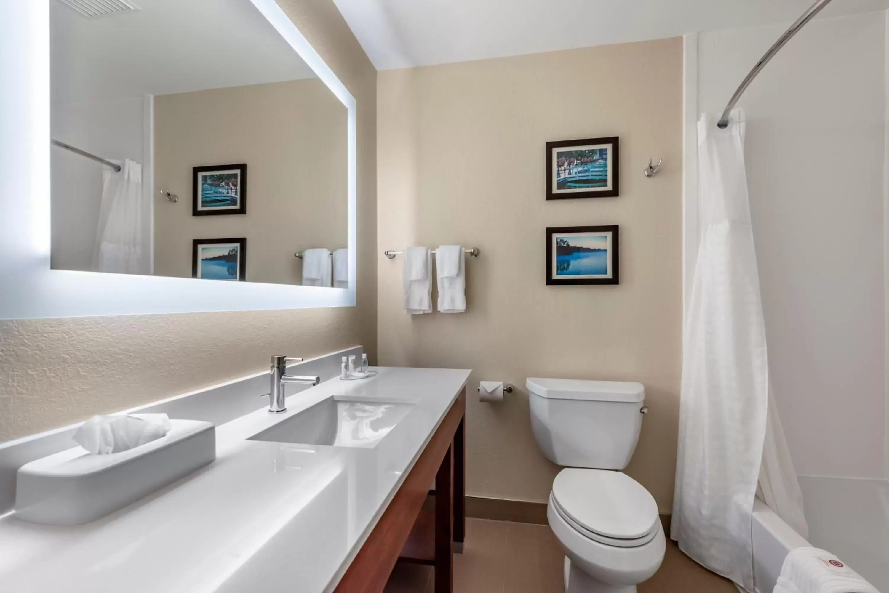 Bathroom in Comfort Inn & Suites Middletown - Franklin