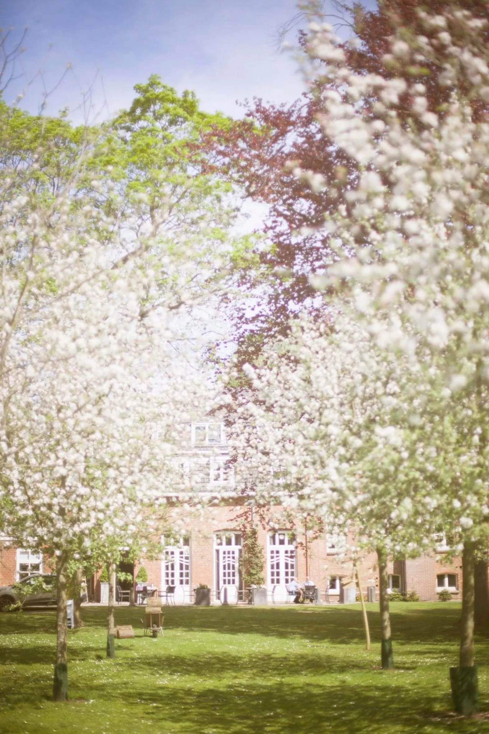 Garden in Klooster Nieuwkerk Goirle