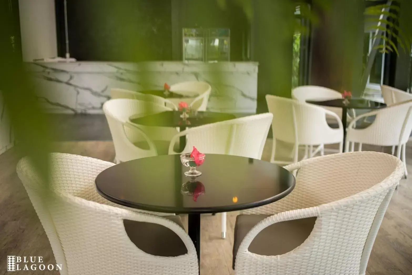 Restaurant/places to eat in Blue Lagoon Hotel Restaurant/places to eat in Blue Lagoon Hotel