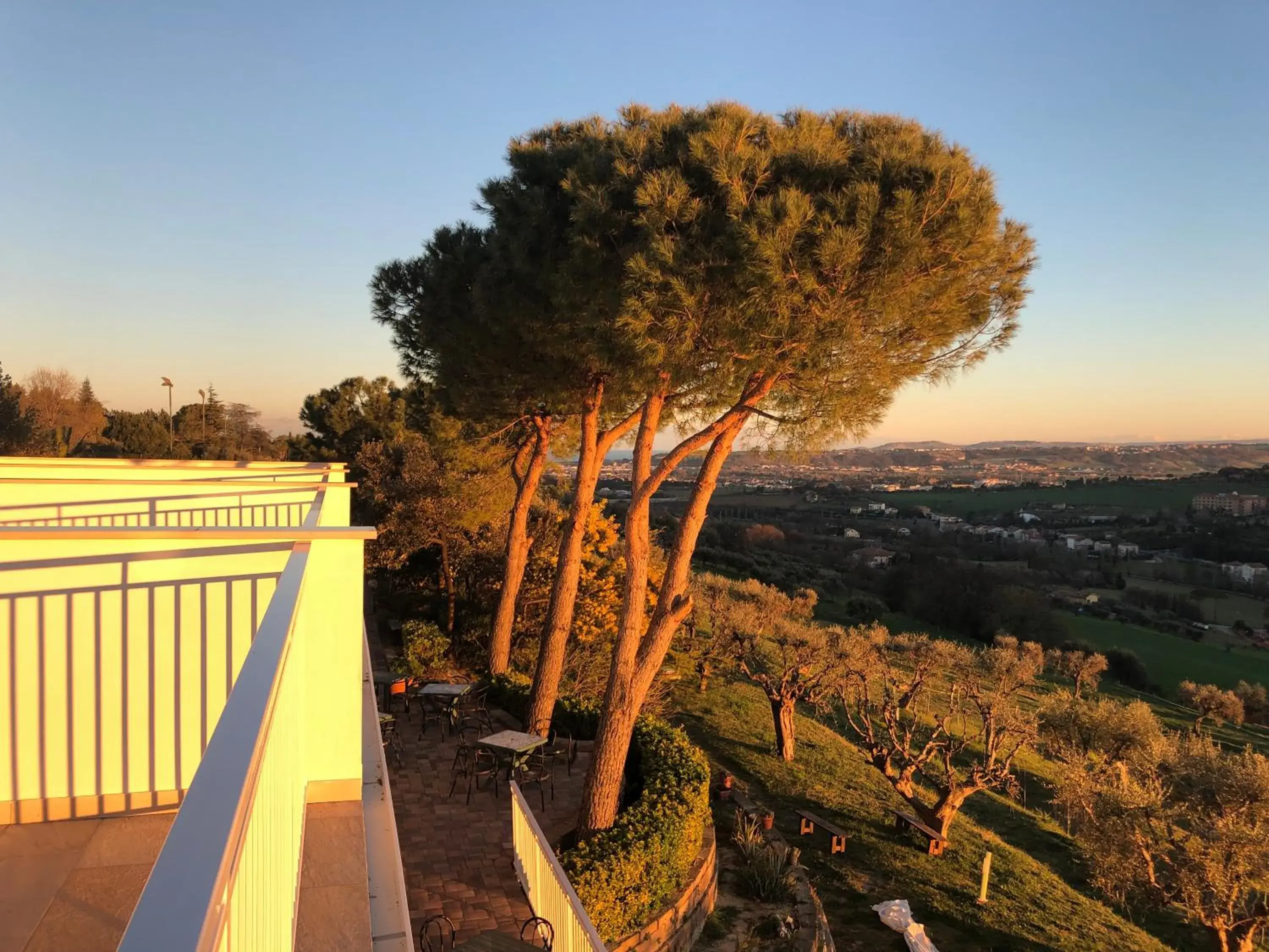 Natural landscape in Casablanca Hotel