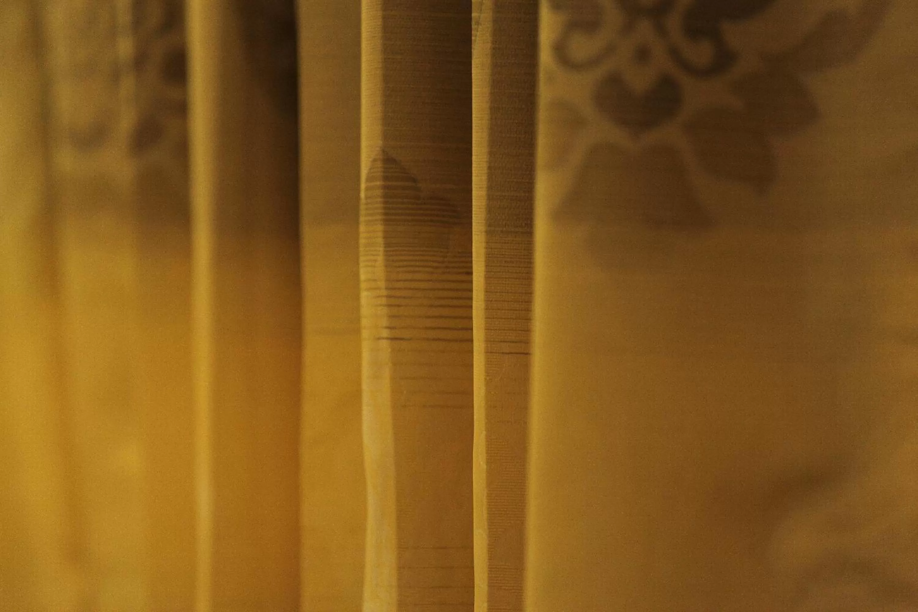 Other in Comfort Inn Legacy