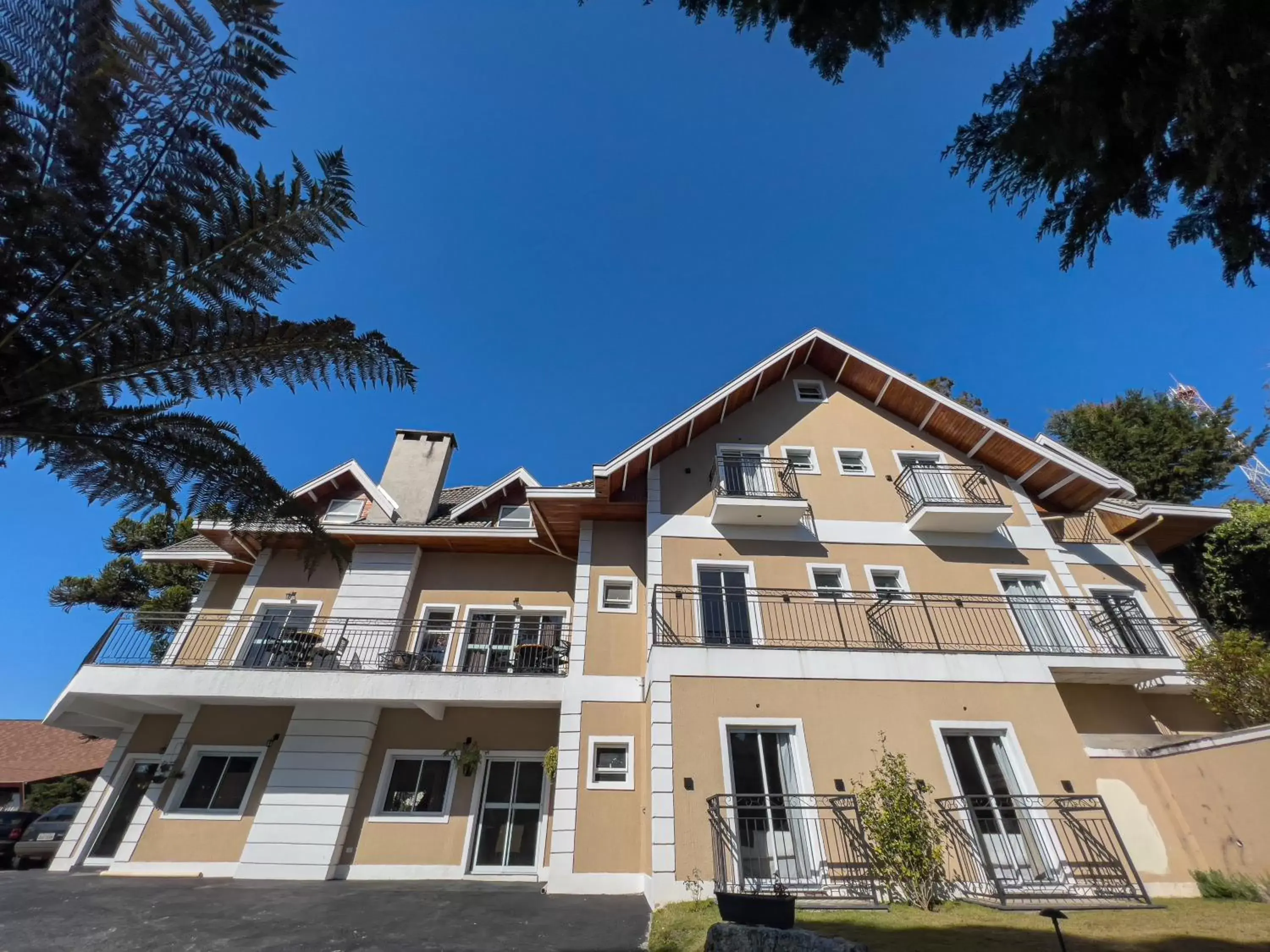 Ti Voglio Bene Ti Voglio Bene