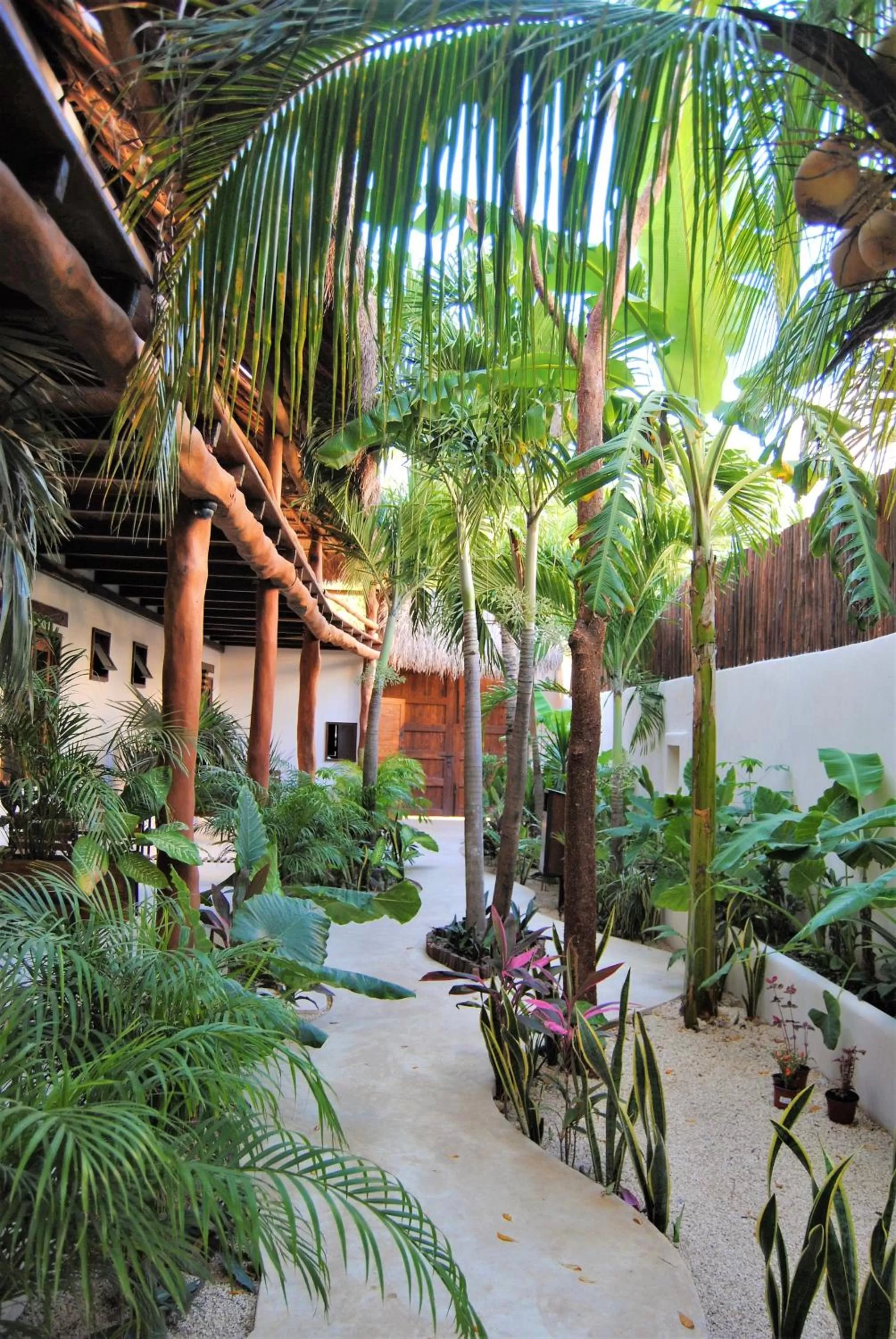 Patio in Hotel Boutique TerraNova