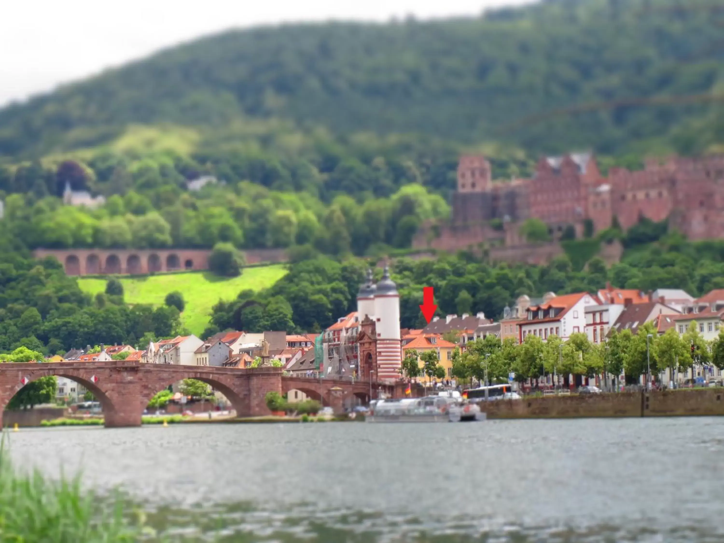 Area and facilities in Hotel Zur Alten Brücke