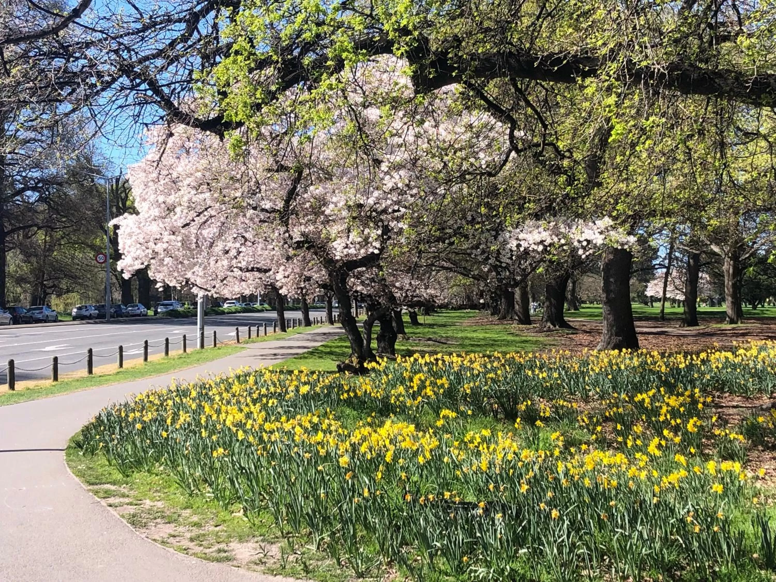 Nearby landmark in Chateau On The Park - Christchurch, A Doubletree By Hilton