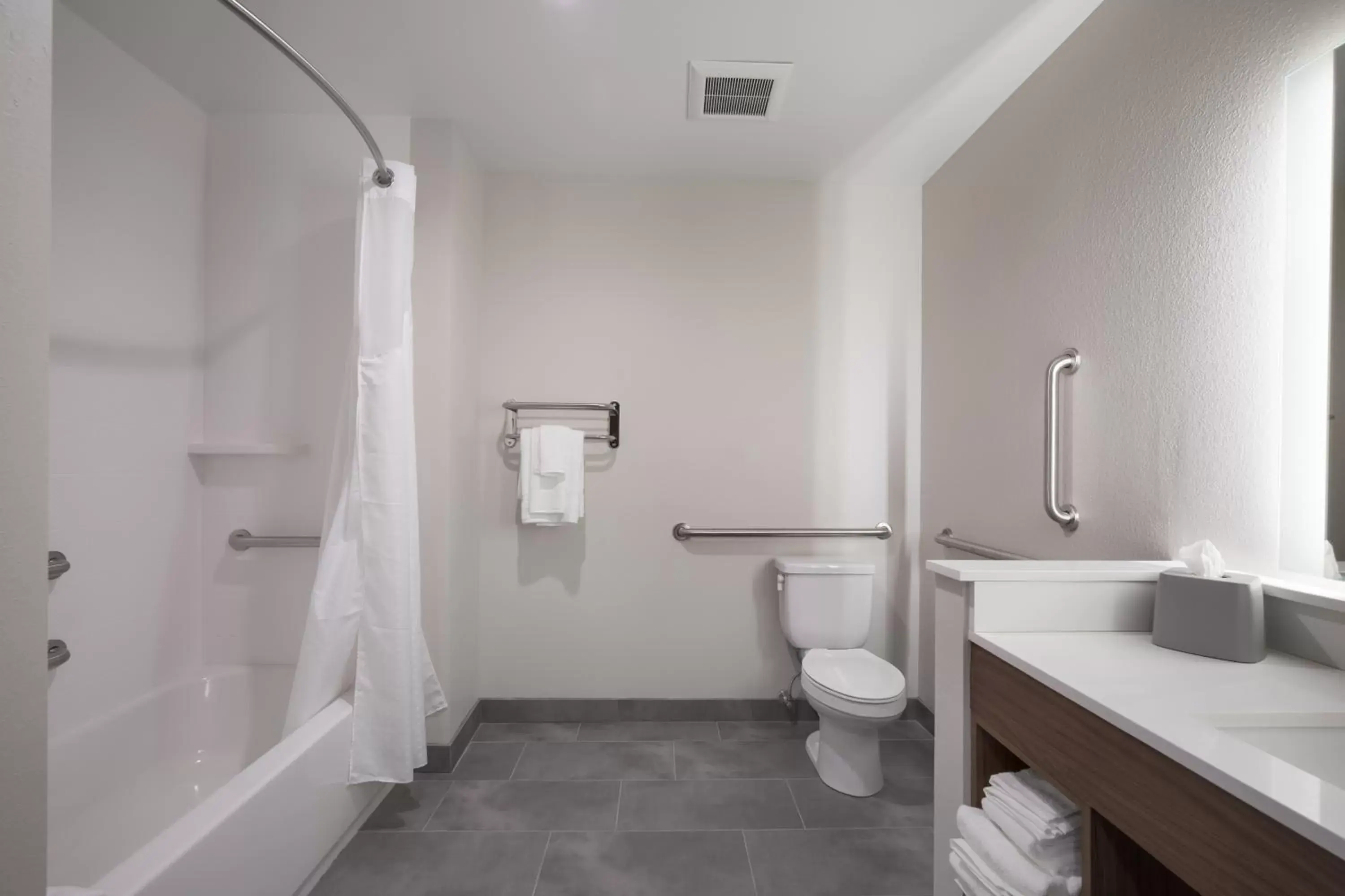Bath, Bathroom in Holiday Inn Express & Suites Chicago - Hoffman Estates, an IHG Hotel