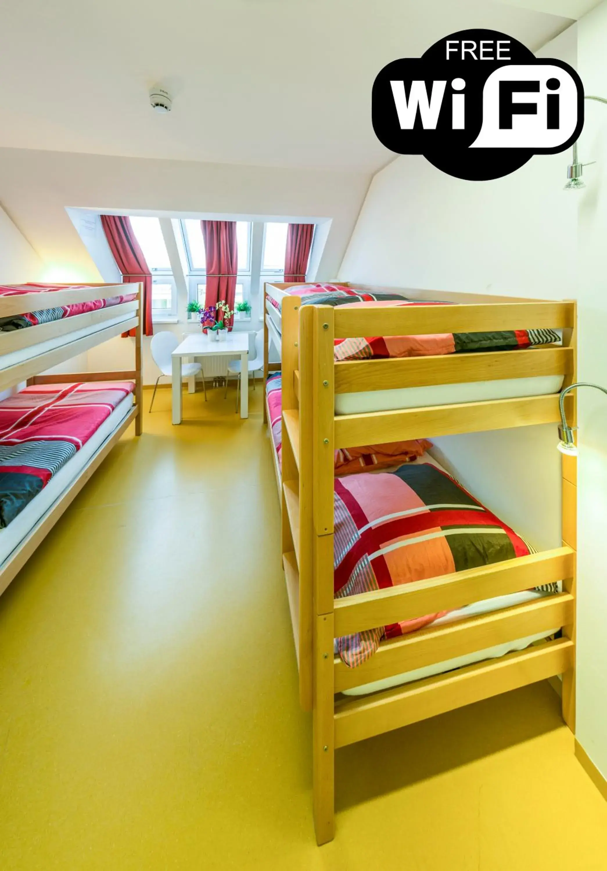 bunk bed in a&t Holiday Hostel