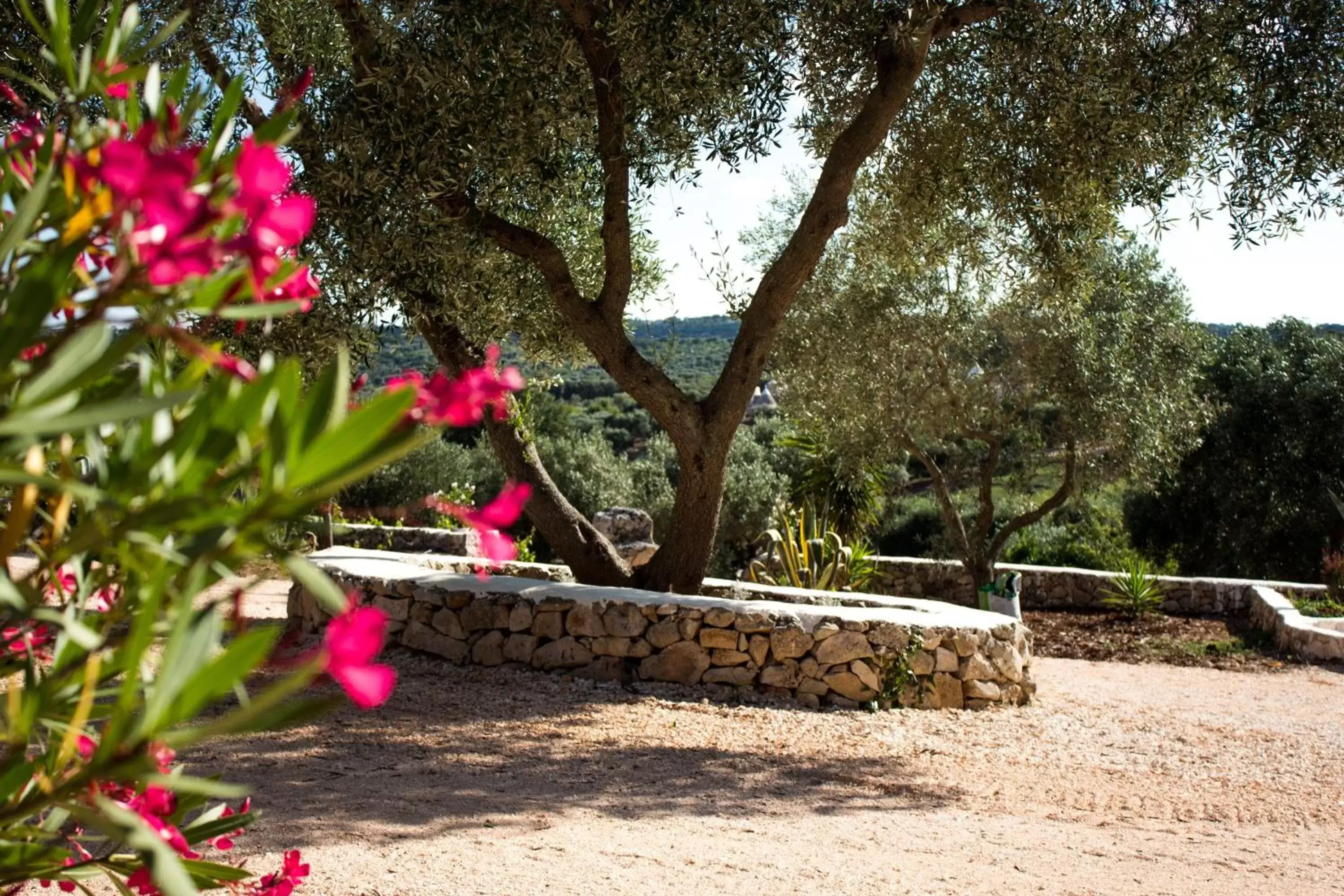 Day, Garden in Relais Trulli Le Icone