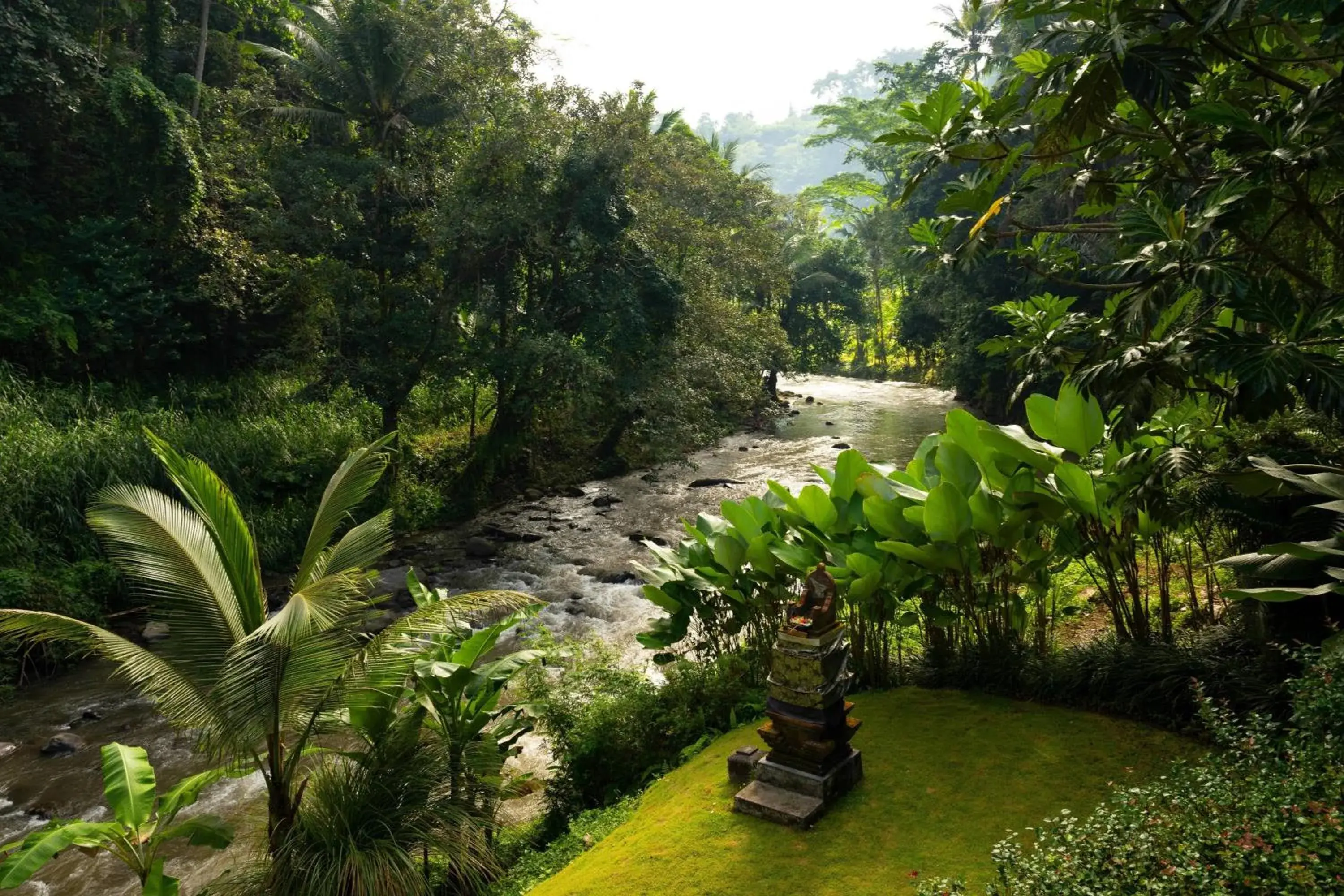 Swimming pool, Garden in Mandapa A Ritz-Carlton Reserve