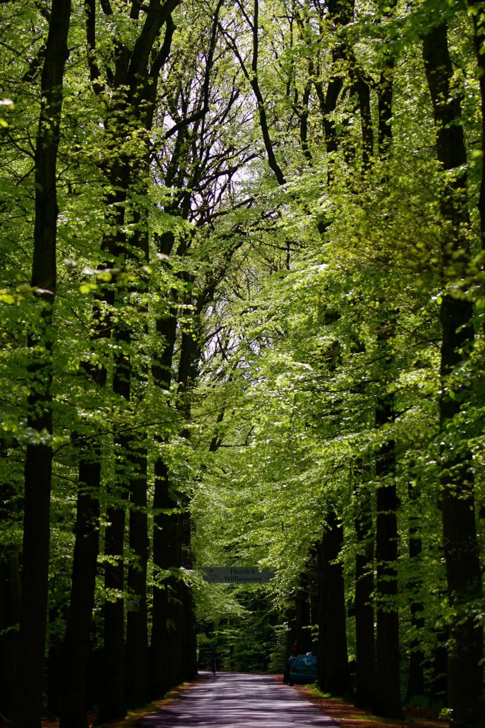 Area and facilities in VILA VITA Burghotel Dinklage