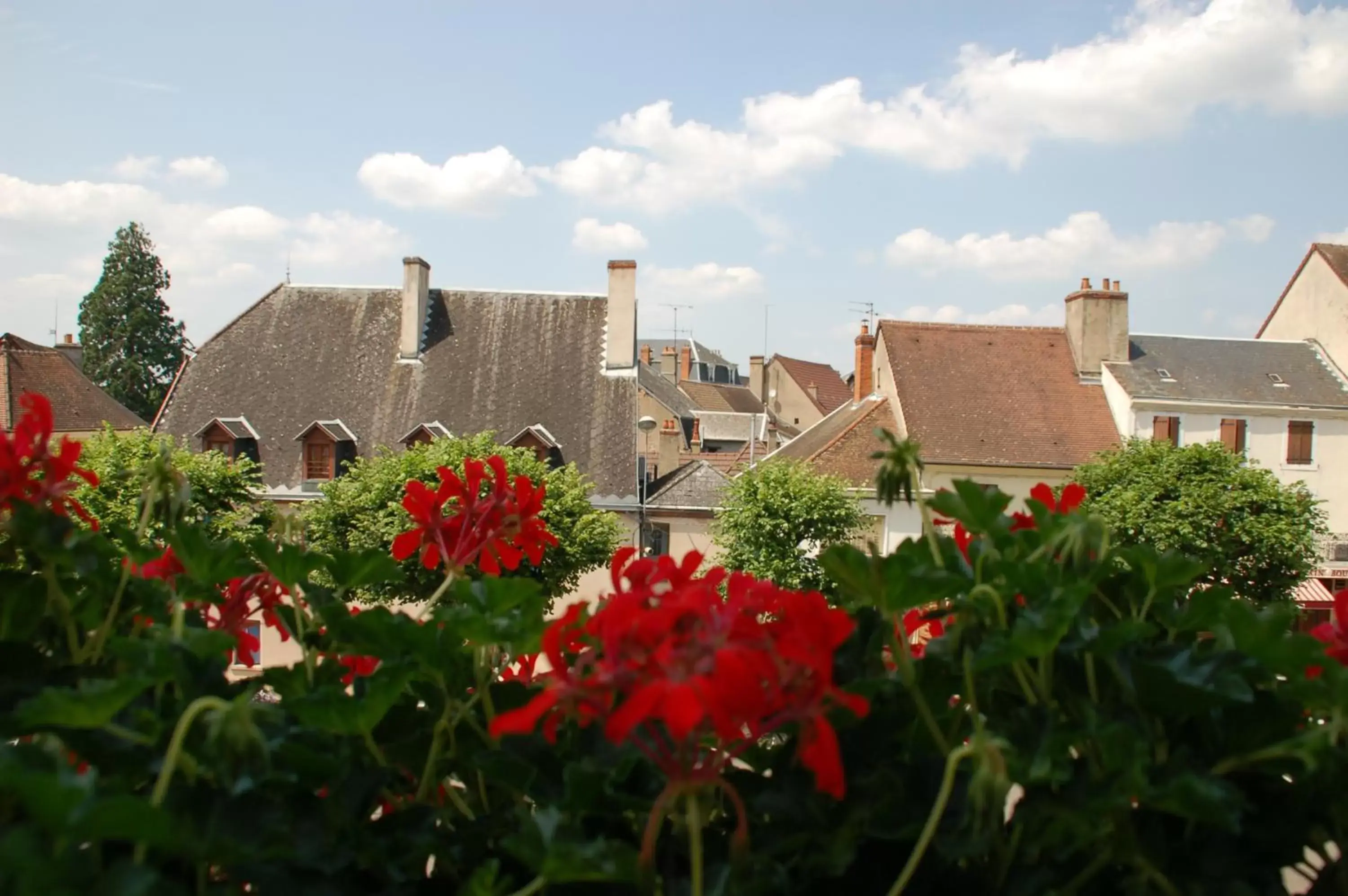 View (from property/room), Property Building in Logis Hotel La Tourelle du Beffroi