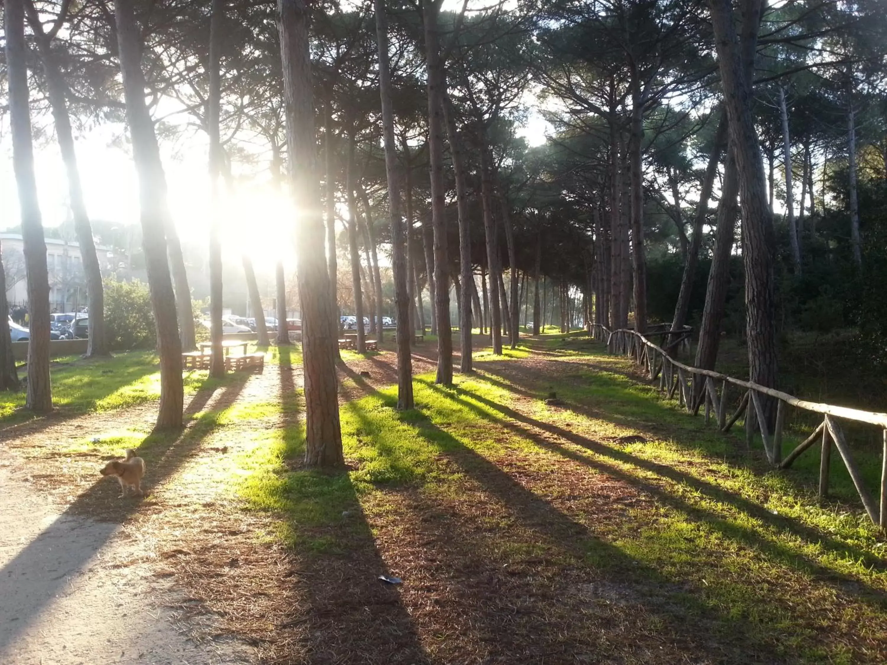 Beach, Garden in Hotel Mistral