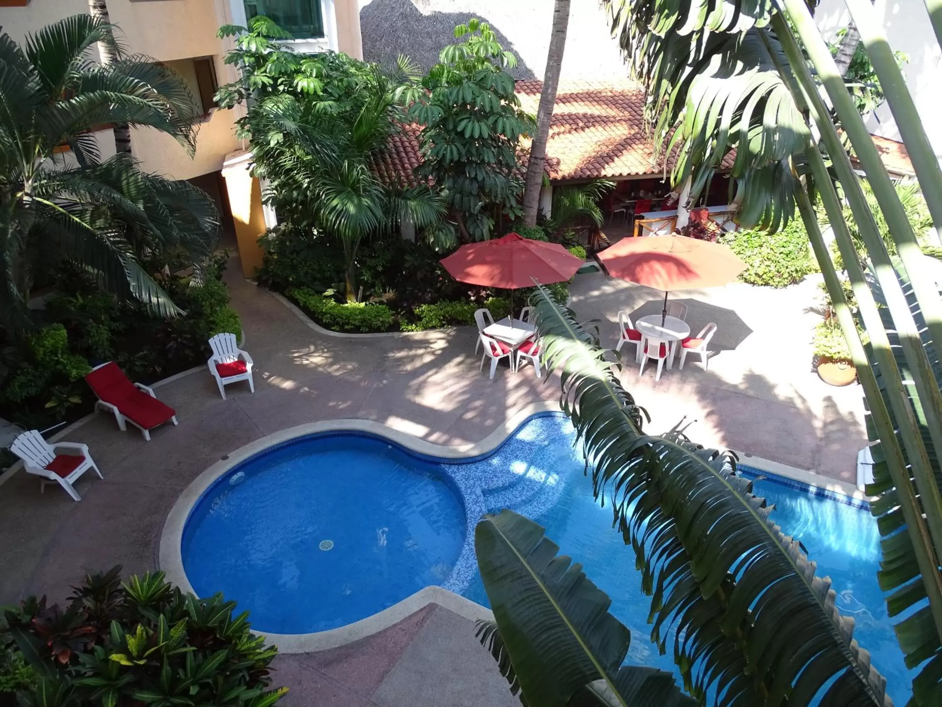 Pool View in Hotel Palapa Palace Inn