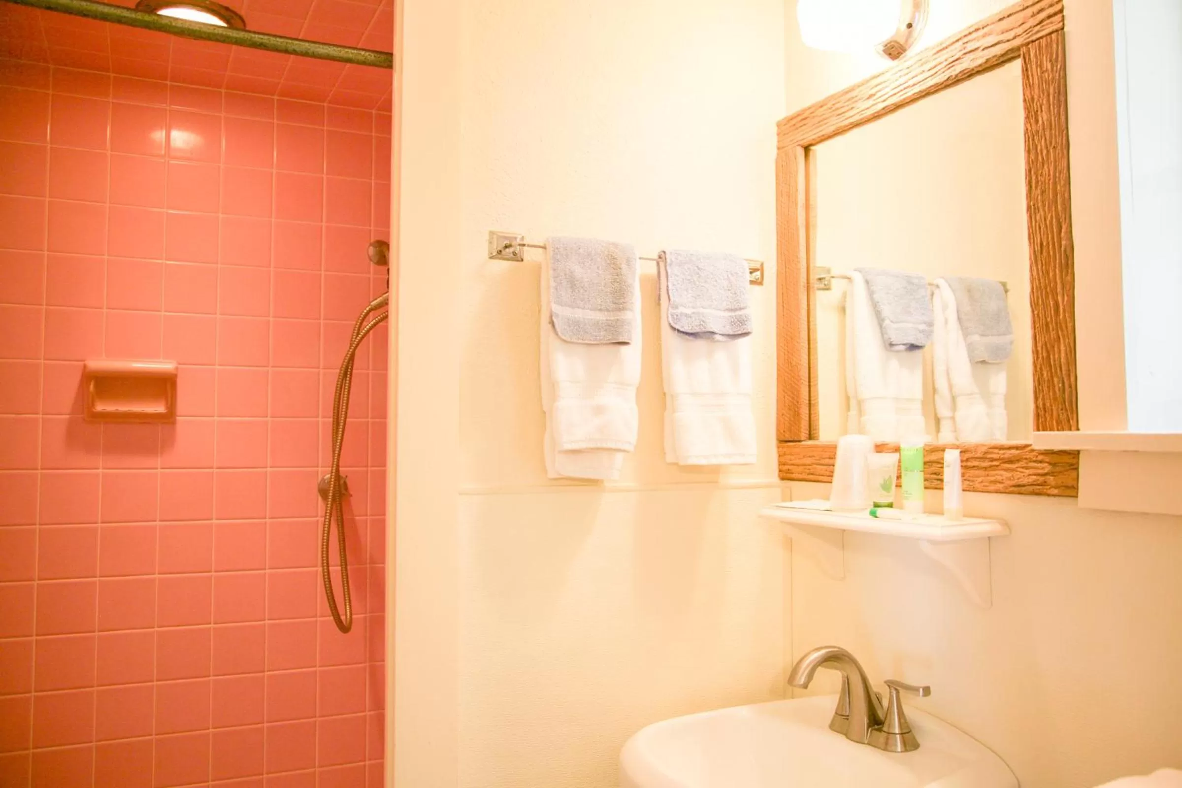 Bathroom in Shiner Country Inn