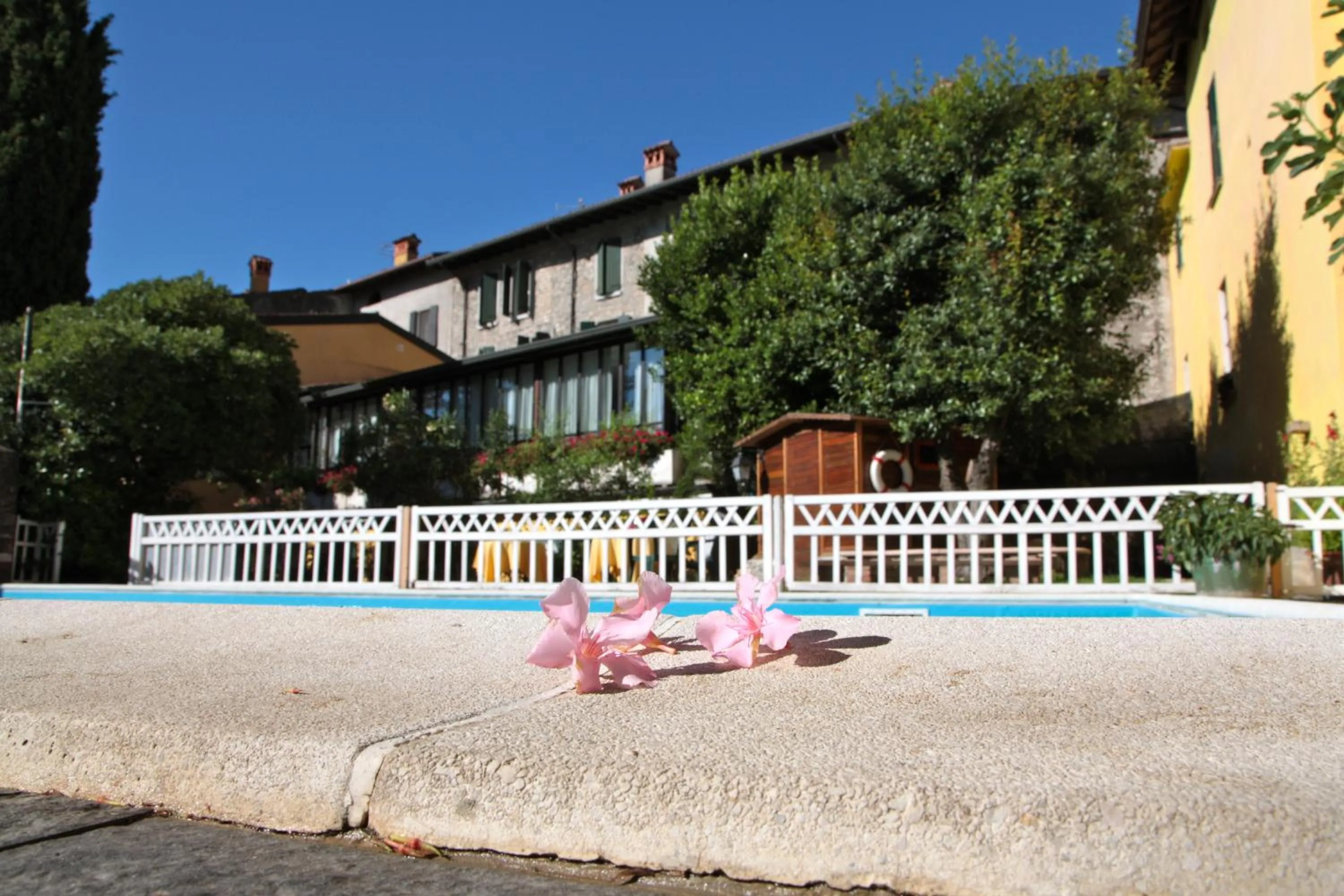 Swimming pool in Hotel San Filis