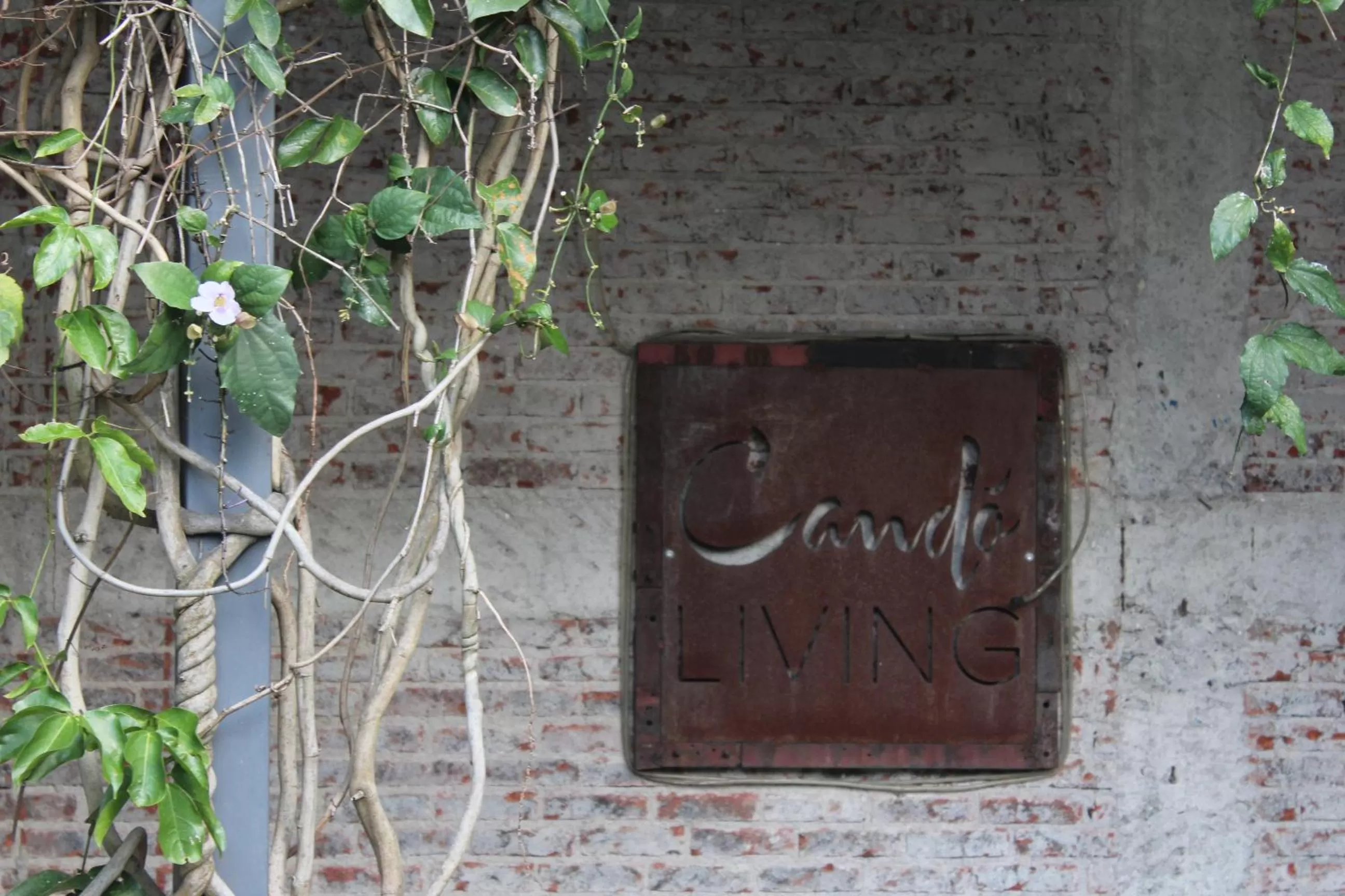 Cando Living Apartments in Central Avenue